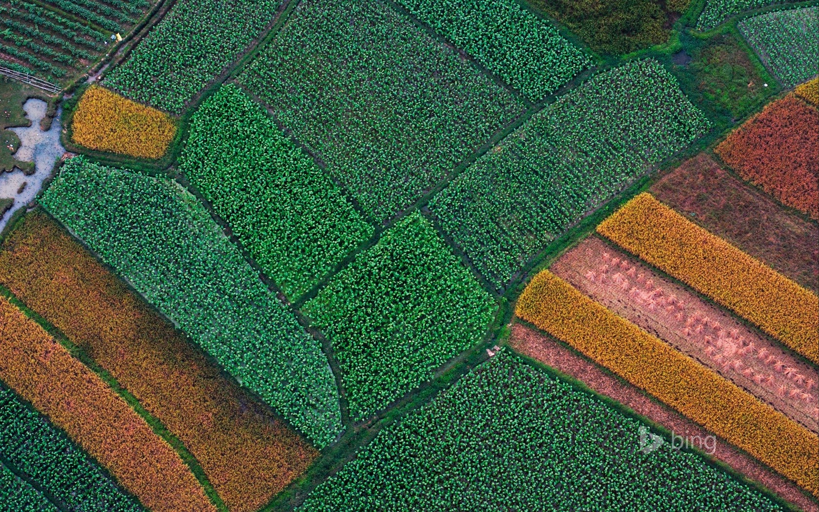 Abril de 2015 fondos de pantalla HD Bing #16 - 1680x1050