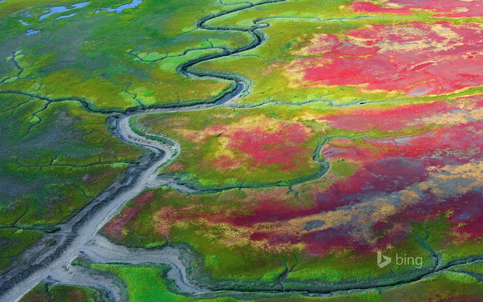 Května 2015 Bing HD tapety na plochu #24 - 1680x1050