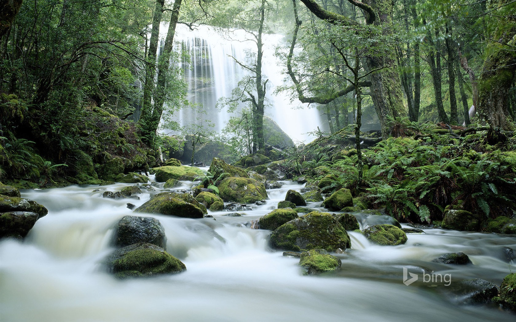 May 2015 Bing HD wallpapers #27 - 1680x1050