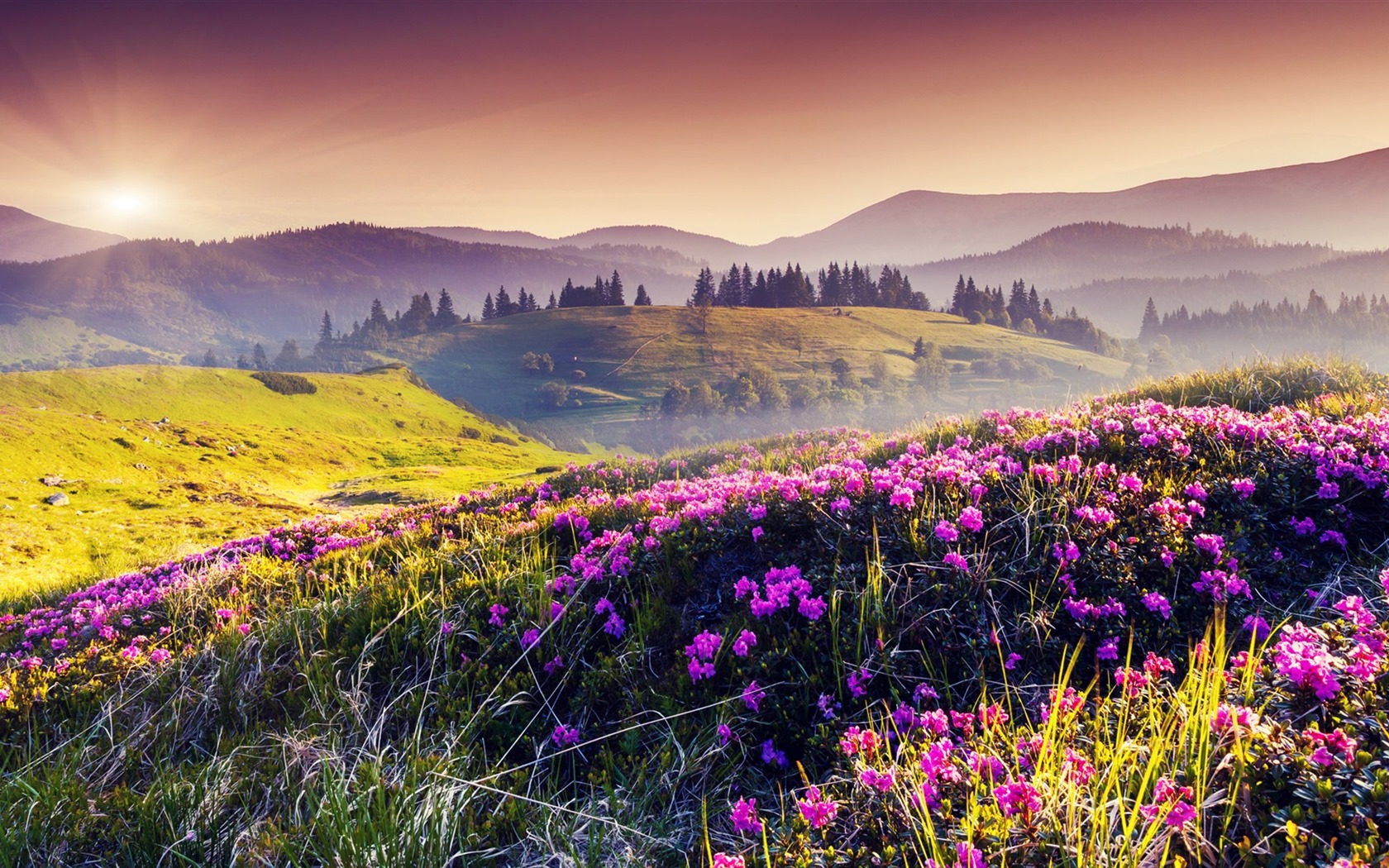 Les arbres, les montagnes, l'eau, lever et coucher du paysage de nature, fonds d'écran HD #31 - 1680x1050