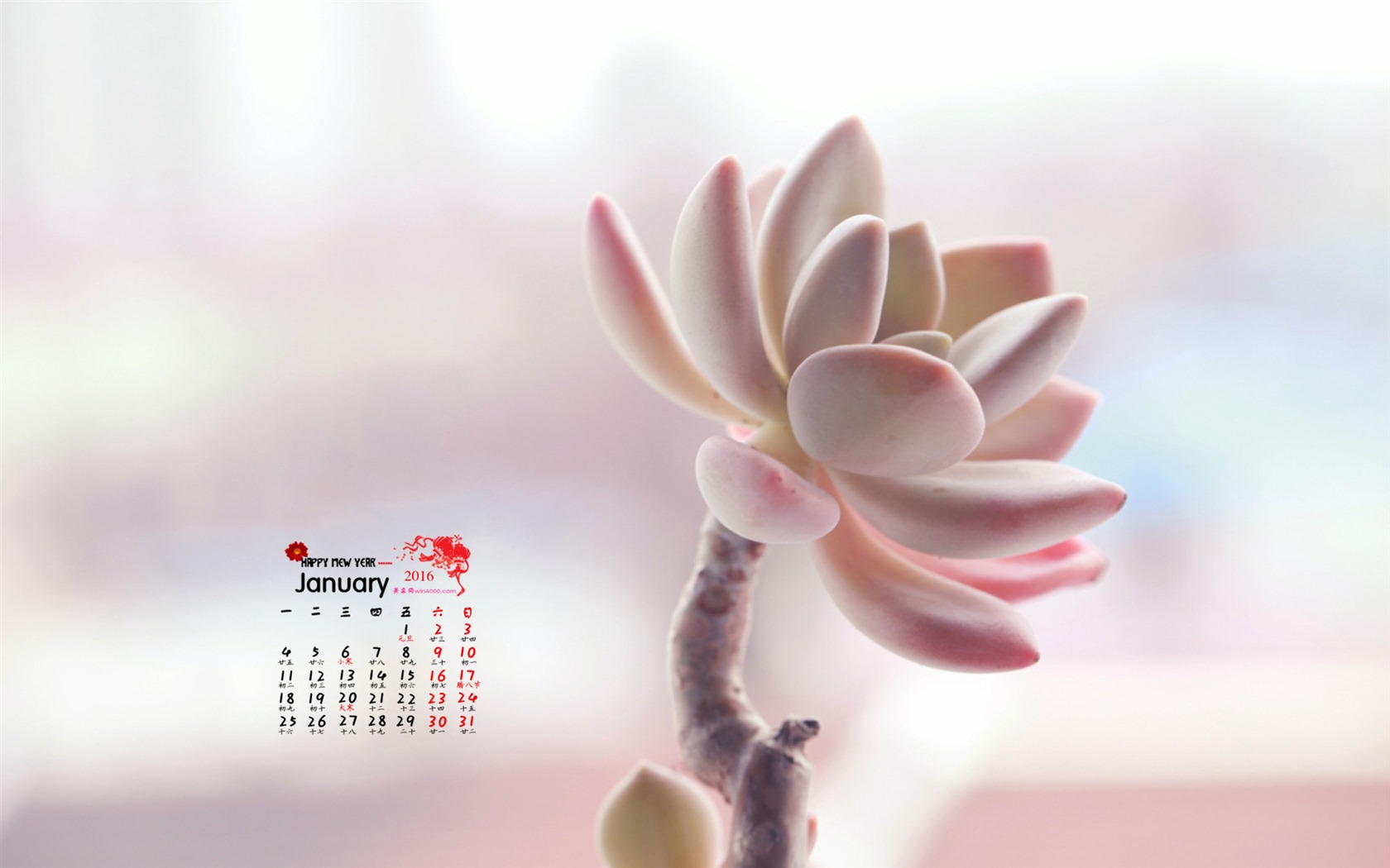 Januar 2016 Kalender Wallpaper (1) #4 - 1680x1050