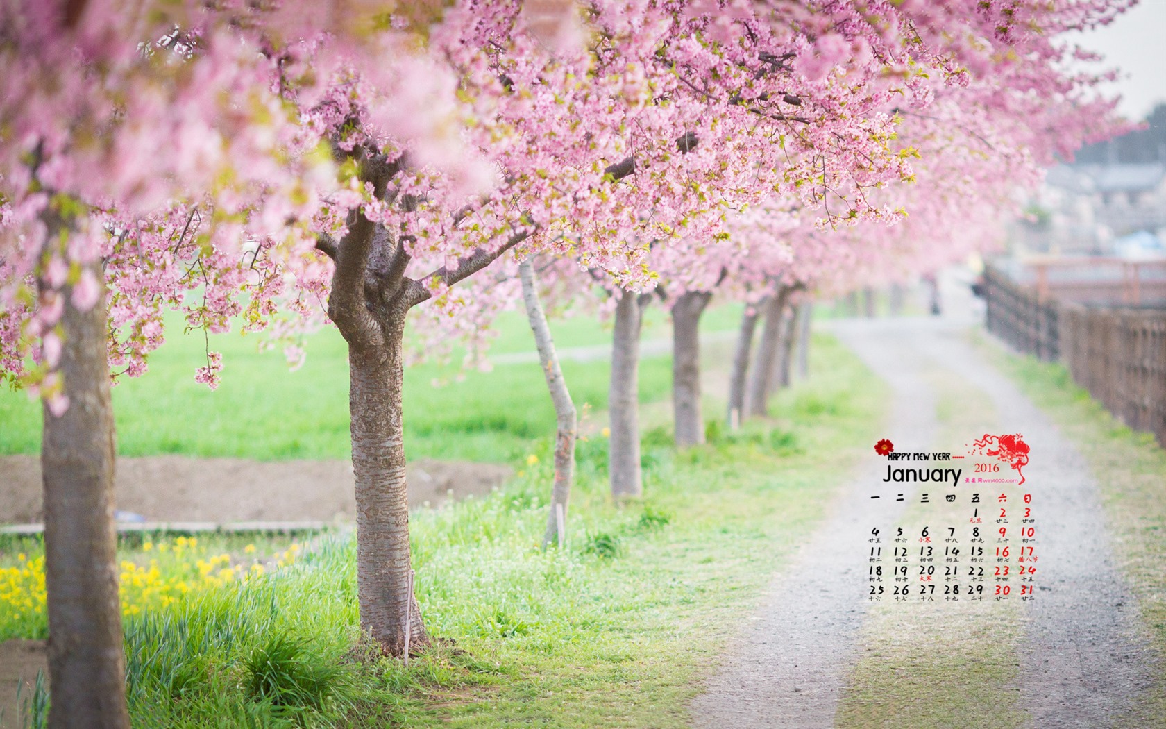 Januar 2016 Kalender Wallpaper (1) #7 - 1680x1050