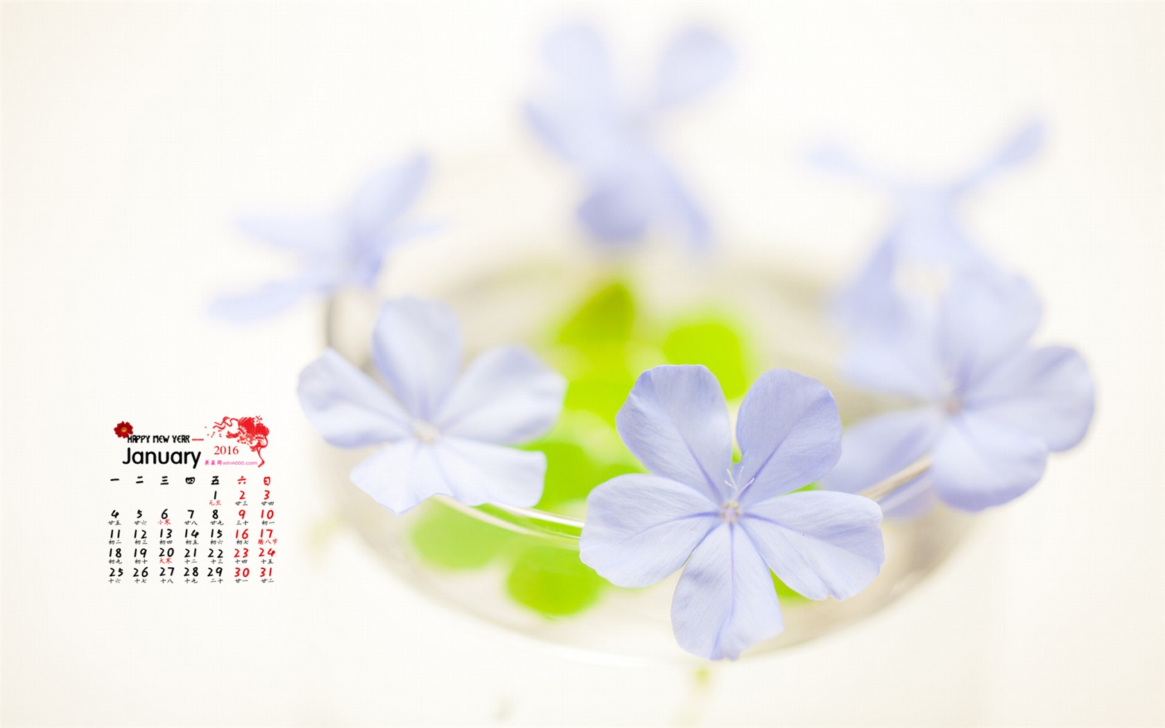 2016年1月 月历壁纸(一)14 - 1680x1050