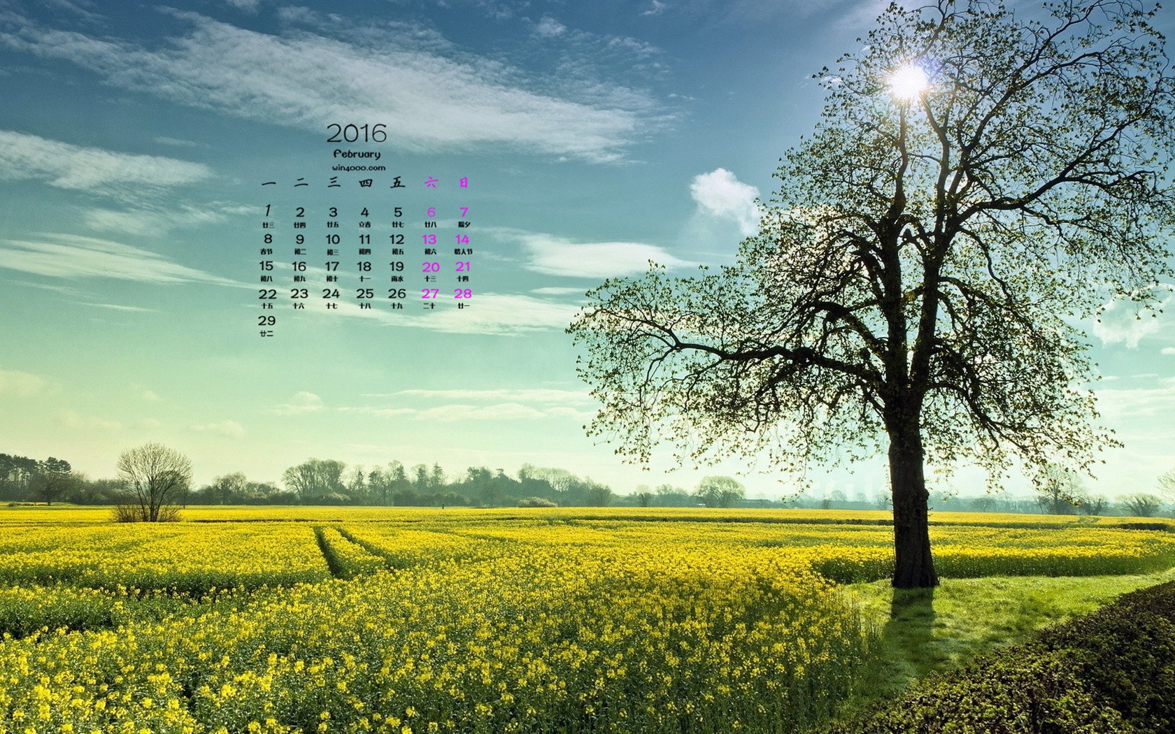 February 2016 Calendar wallpaper (1) #5 - 1680x1050
