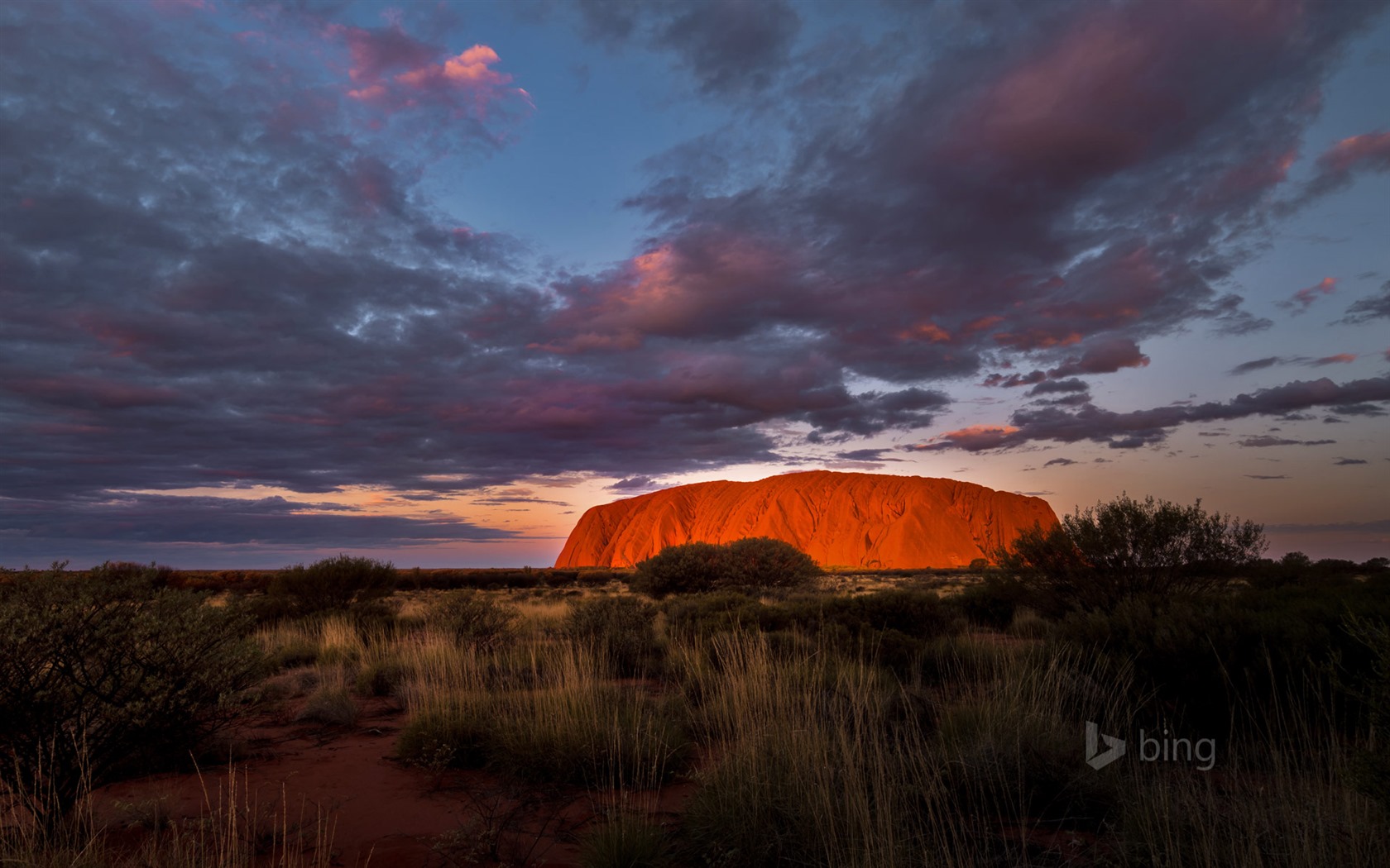January 2016 Bing theme HD wallpapers #25 - 1680x1050