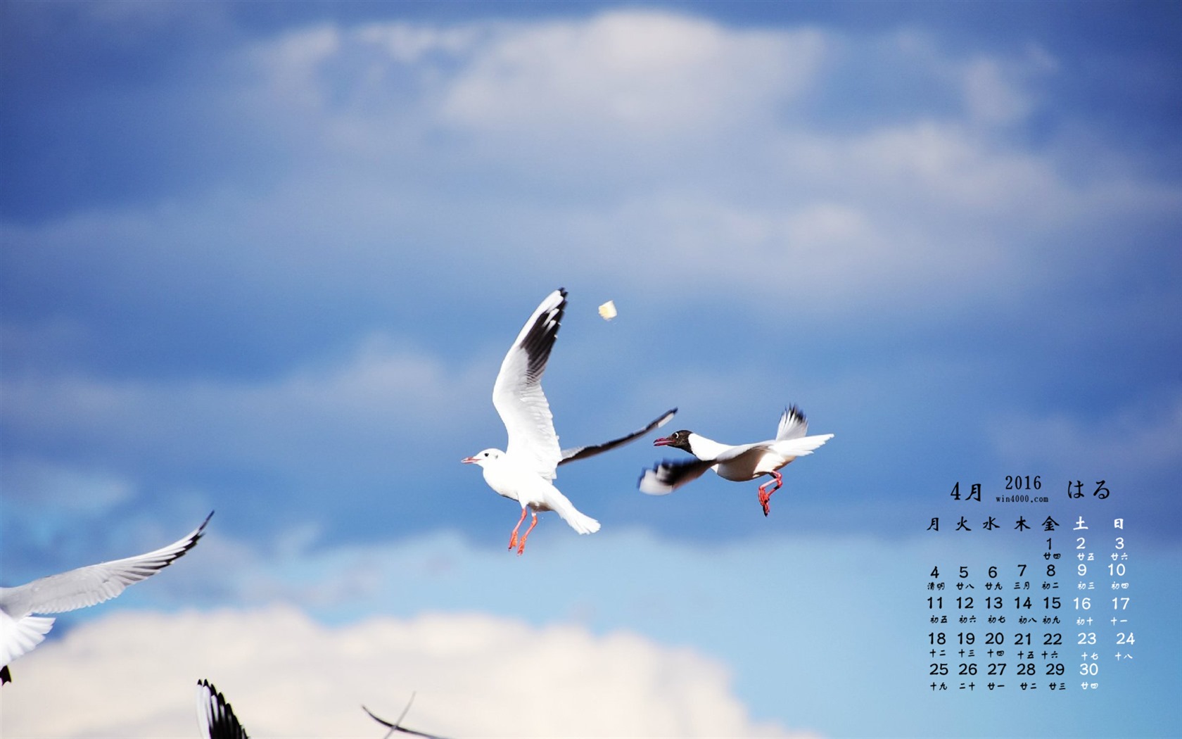 April 2016 calendar wallpaper (2) #6 - 1680x1050