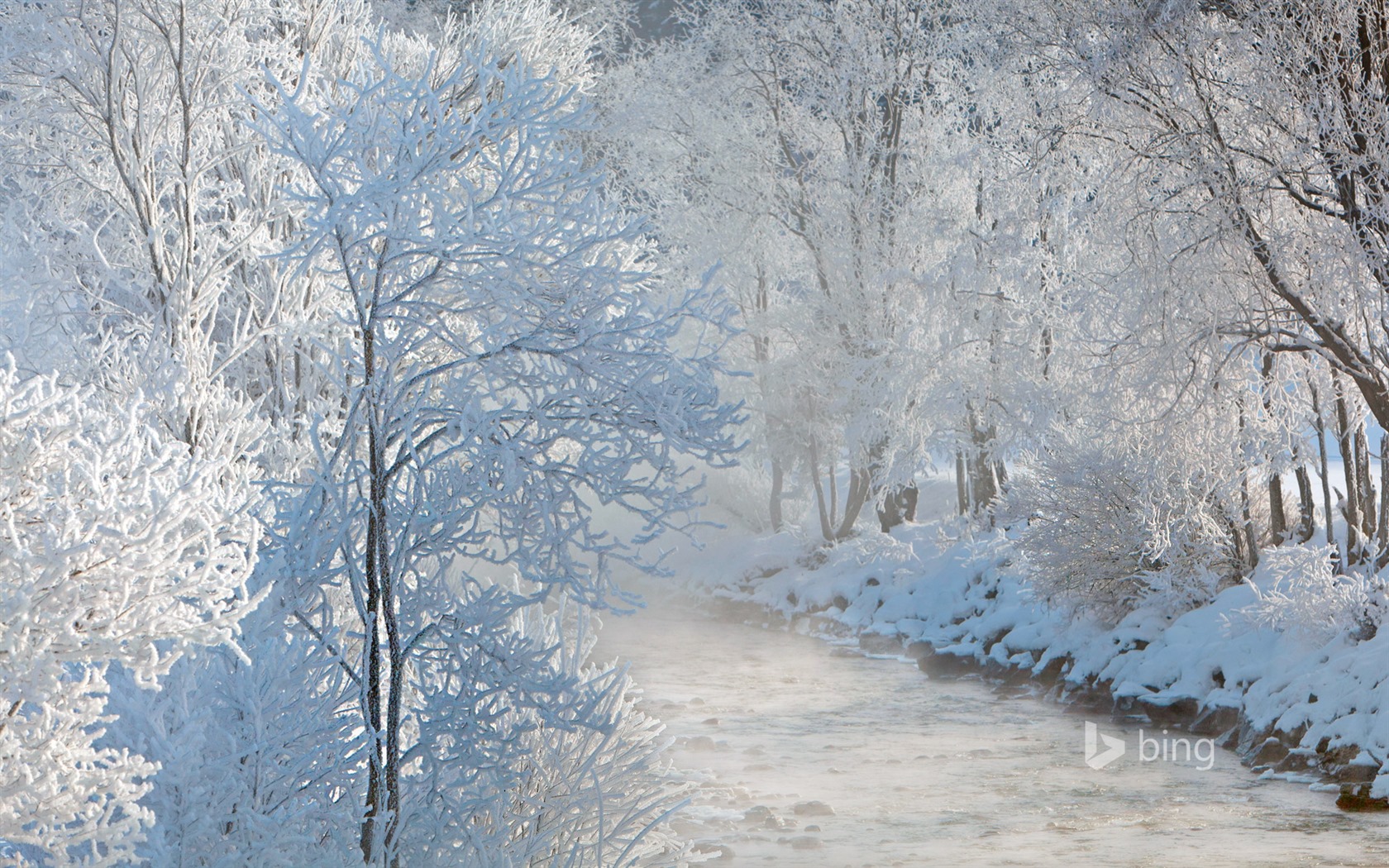 Únor 2016 Bing téma HD tapety na plochu #24 - 1680x1050