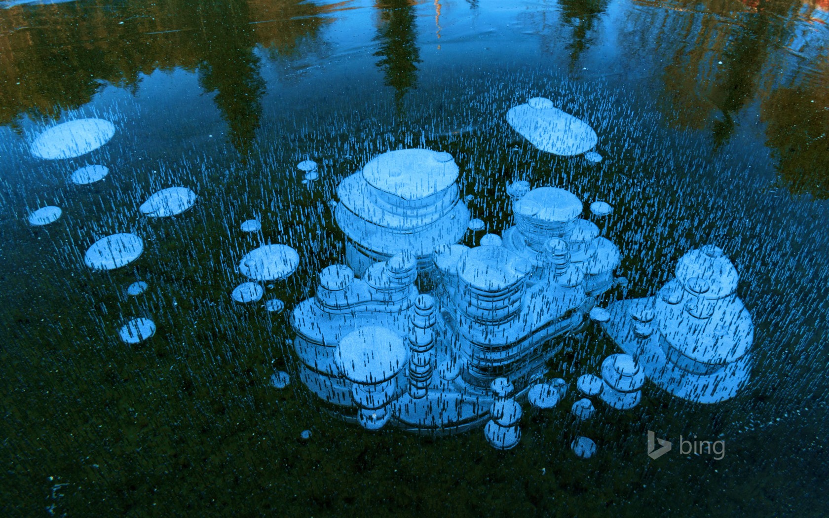 Únor 2016 Bing téma HD tapety na plochu #25 - 1680x1050