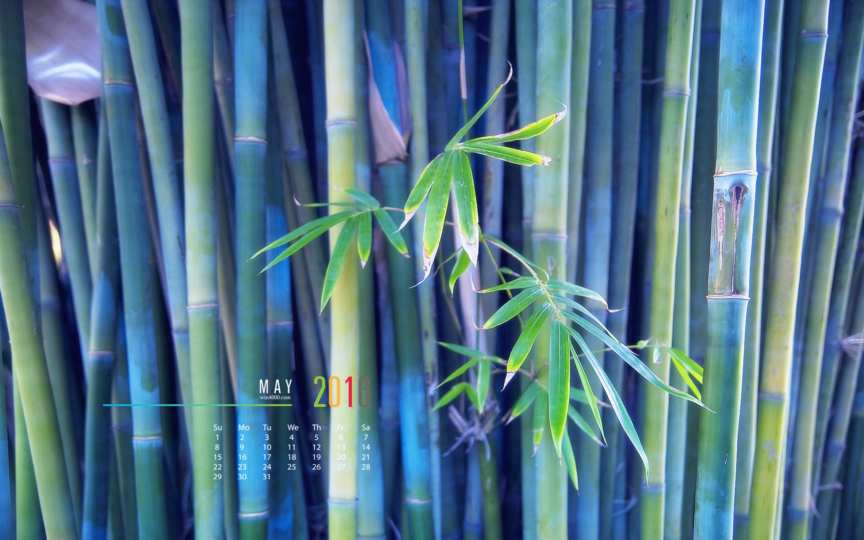 May 2016 calendar wallpaper (1) #9 - 1680x1050