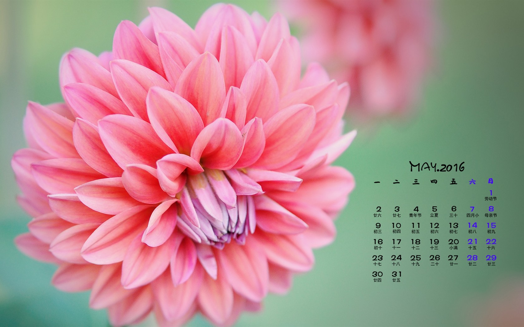 May 2016 calendar wallpaper (1) #11 - 1680x1050
