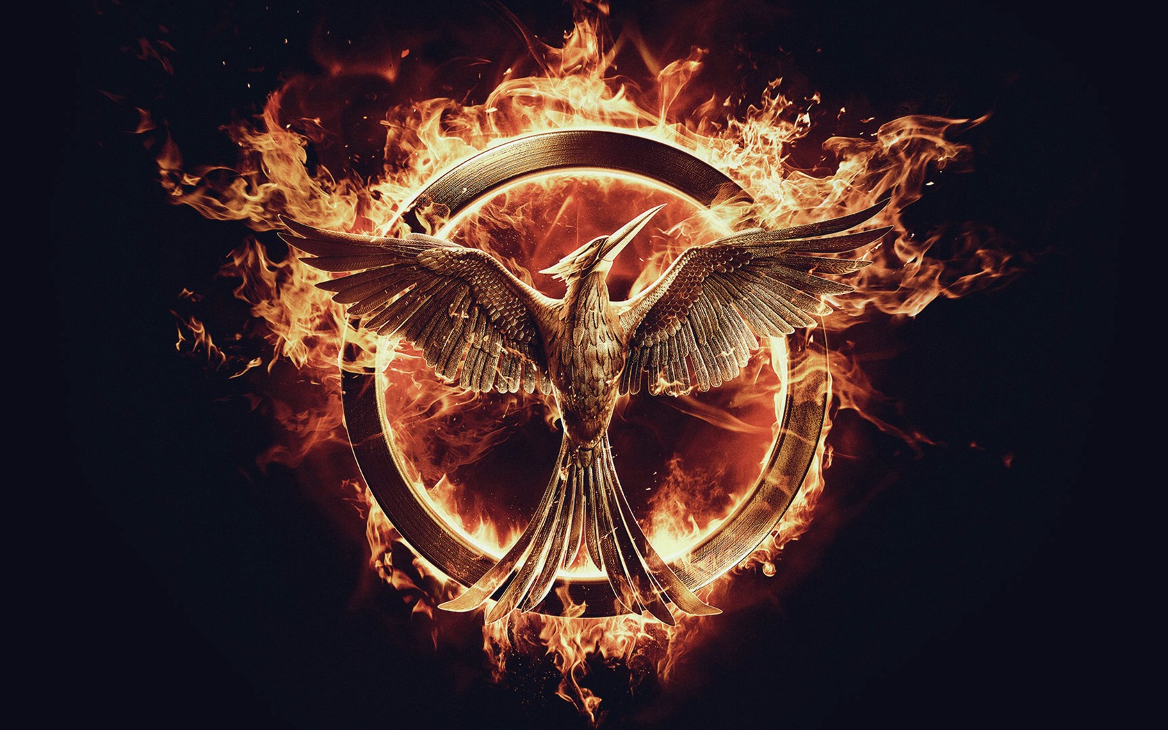 The Hunger Games: Síla vzdoru HD tapety #5 - 1680x1050
