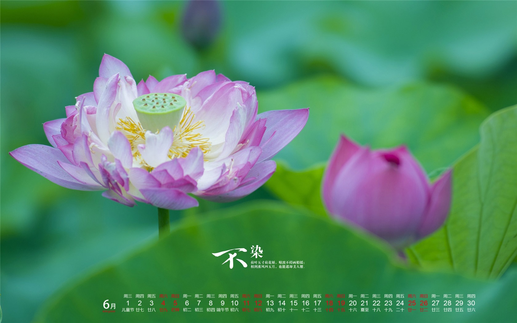 De junio de el año 2016 fondo de pantalla de calendario (1) #10 - 1680x1050