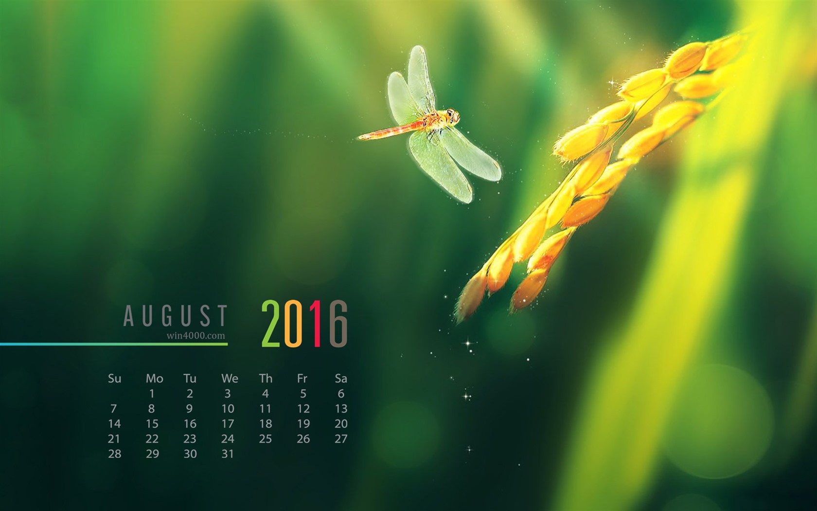 Srpna 2016 kalendář tapeta (2) #2 - 1680x1050