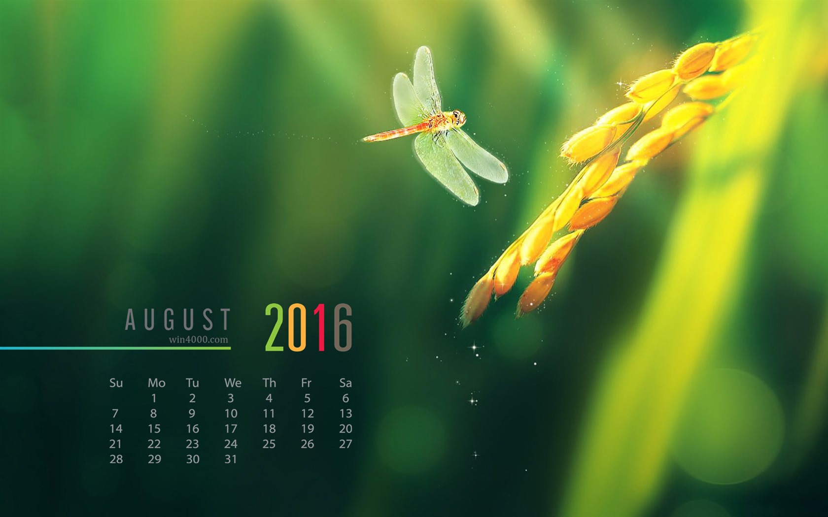 August 2016 calendar wallpaper (2) #2 - 1680x1050