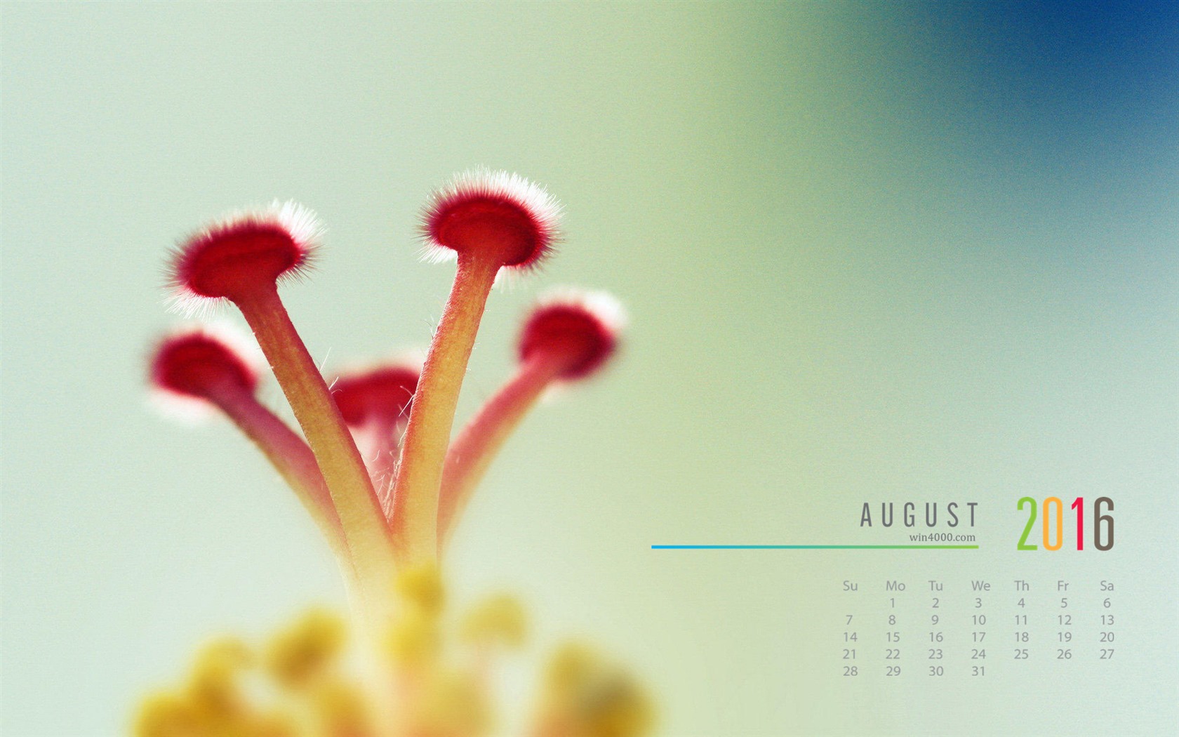 August 2016 calendar wallpaper (2) #5 - 1680x1050