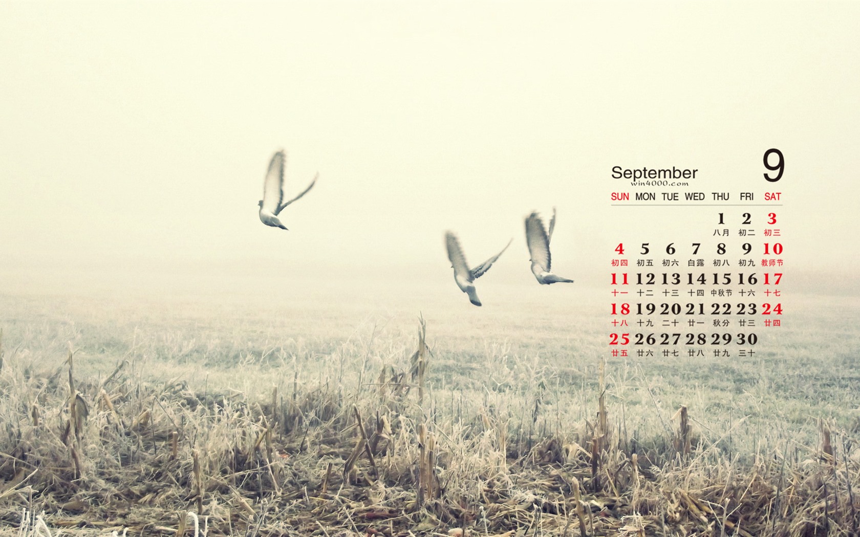 De septiembre de fondo de pantalla de calendario el año 2016 (2) #6 - 1680x1050