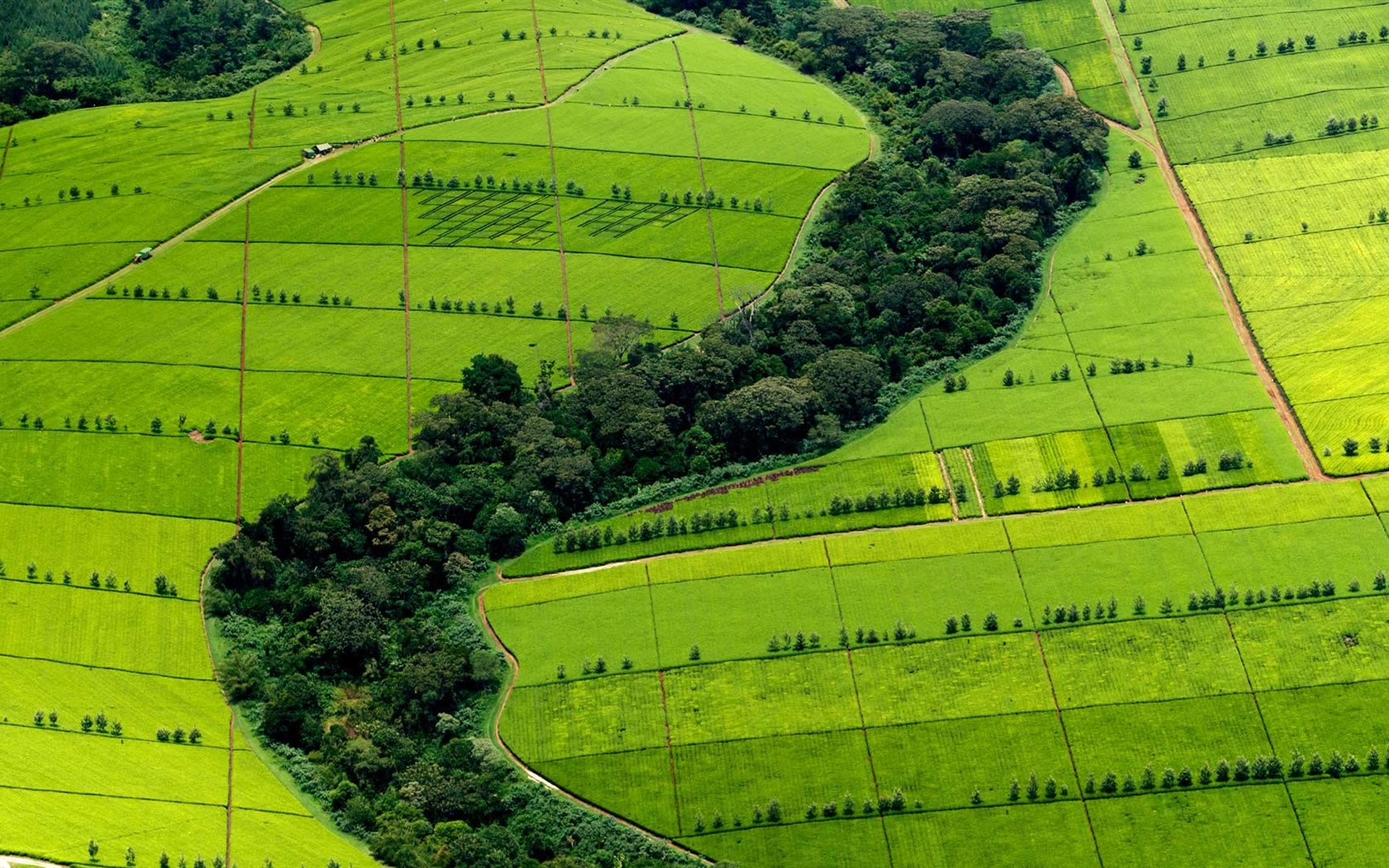 De agosto de 2016 fondos de pantalla HD tema de Bing (1) #32 - 1680x1050