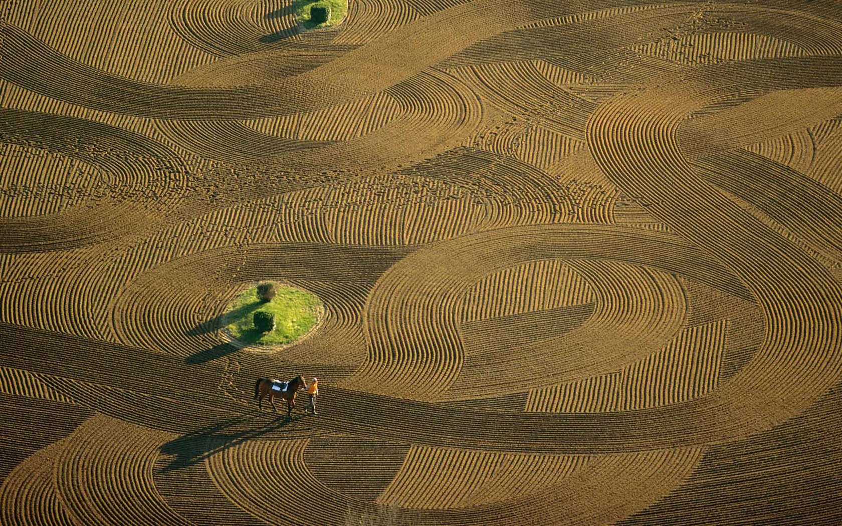 August 2016 Bing theme HD wallpapers (2) #2 - 1680x1050