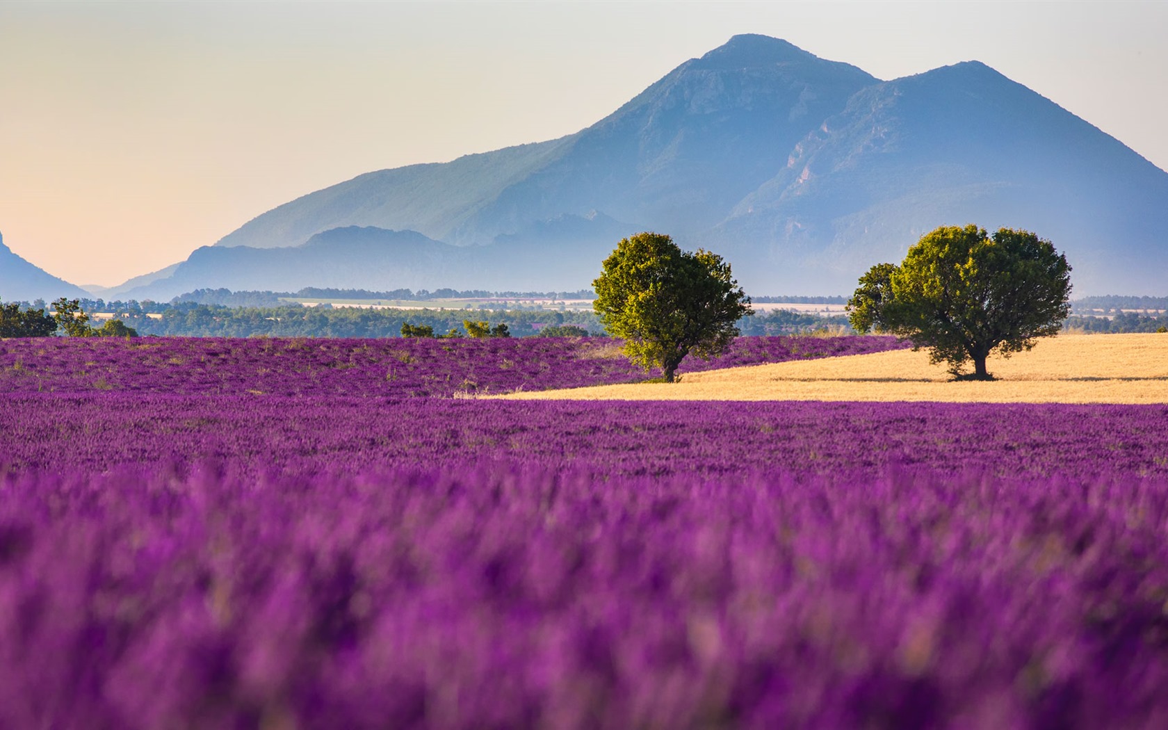 Septembre 2016 Bing thème Fonds d'écran HD (1) #31 - 1680x1050