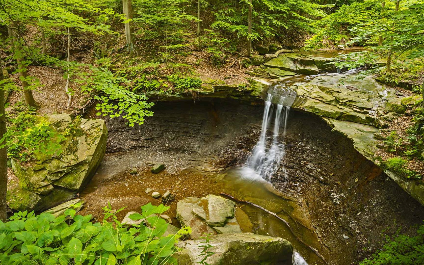 Září 2016 Bing téma HD tapety na plochu (1) #39 - 1680x1050