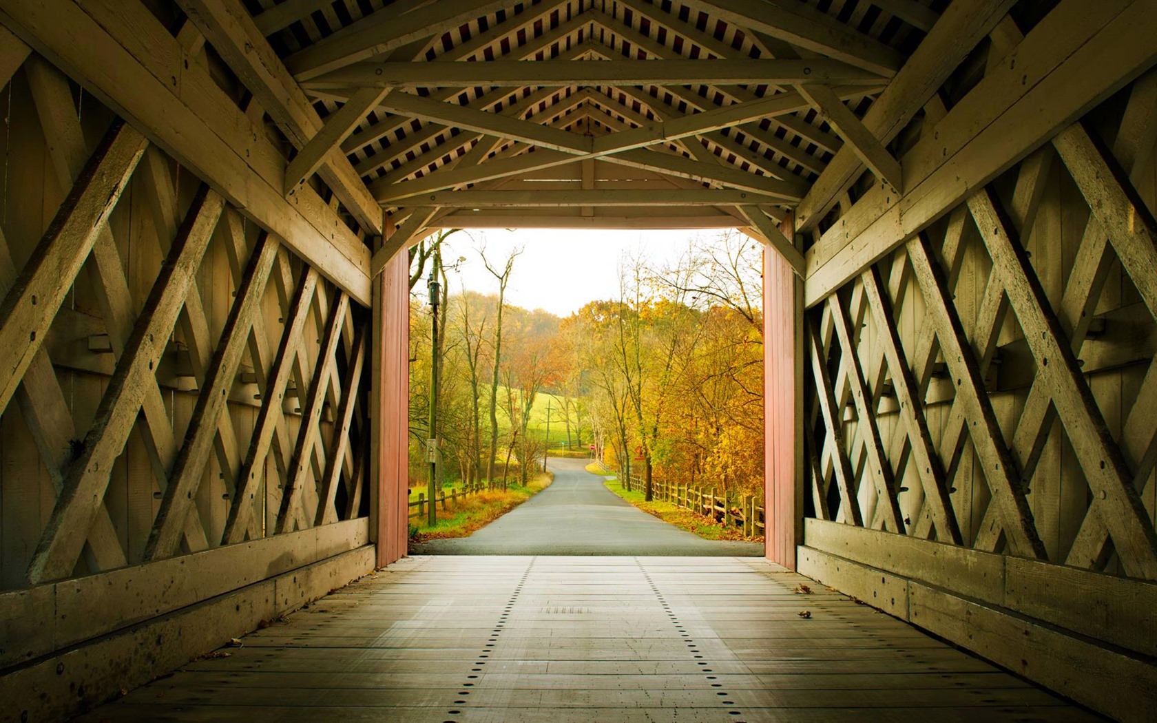October 2016 Bing theme HD wallpapers (1) #18 - 1680x1050