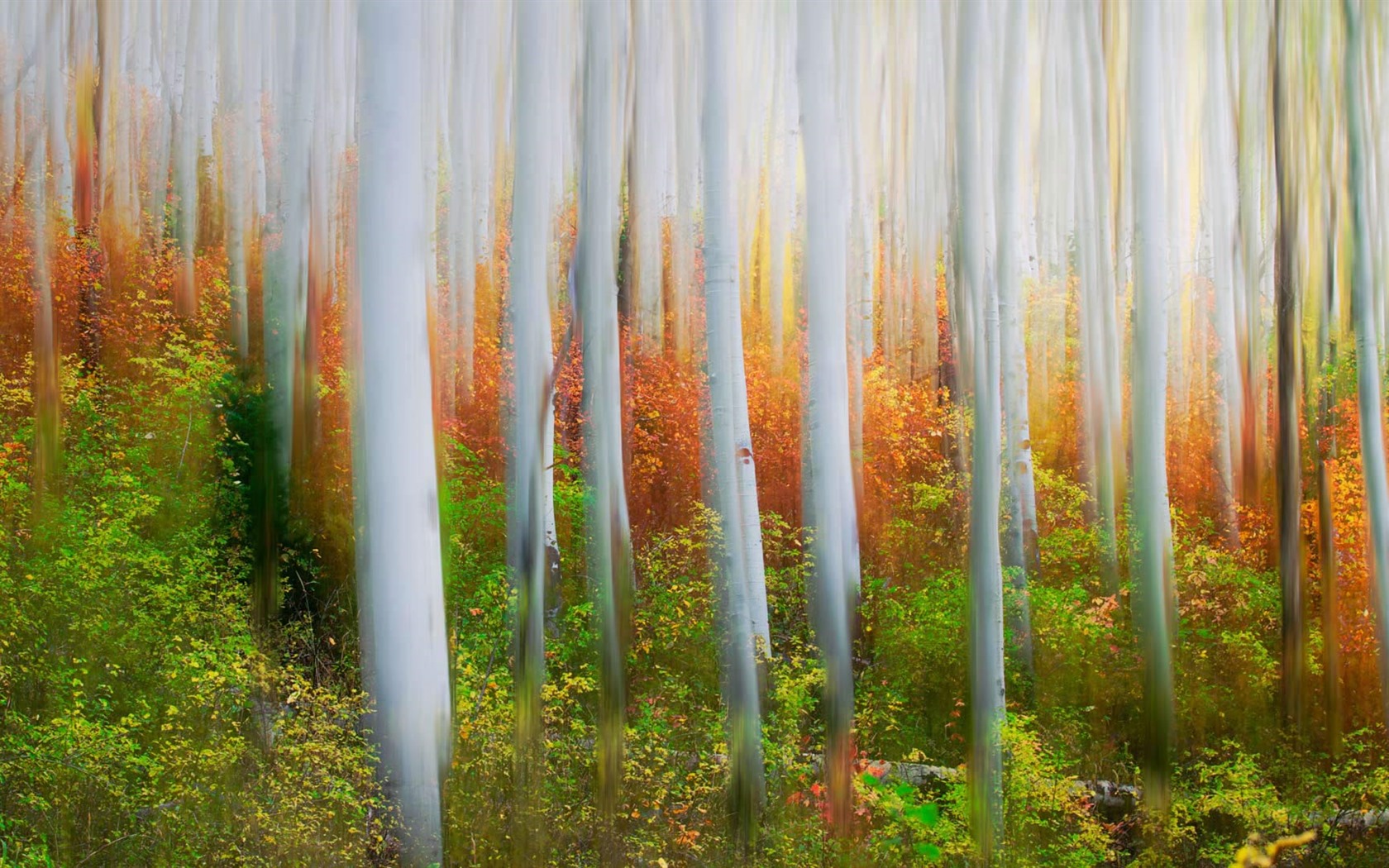 October 2016 Bing theme HD wallpapers (2) #11 - 1680x1050