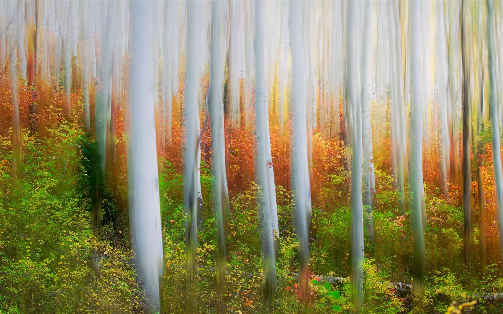 Octubre de 2016 Bing tema HD fondos de pantalla (2) #11 - 1680x1050