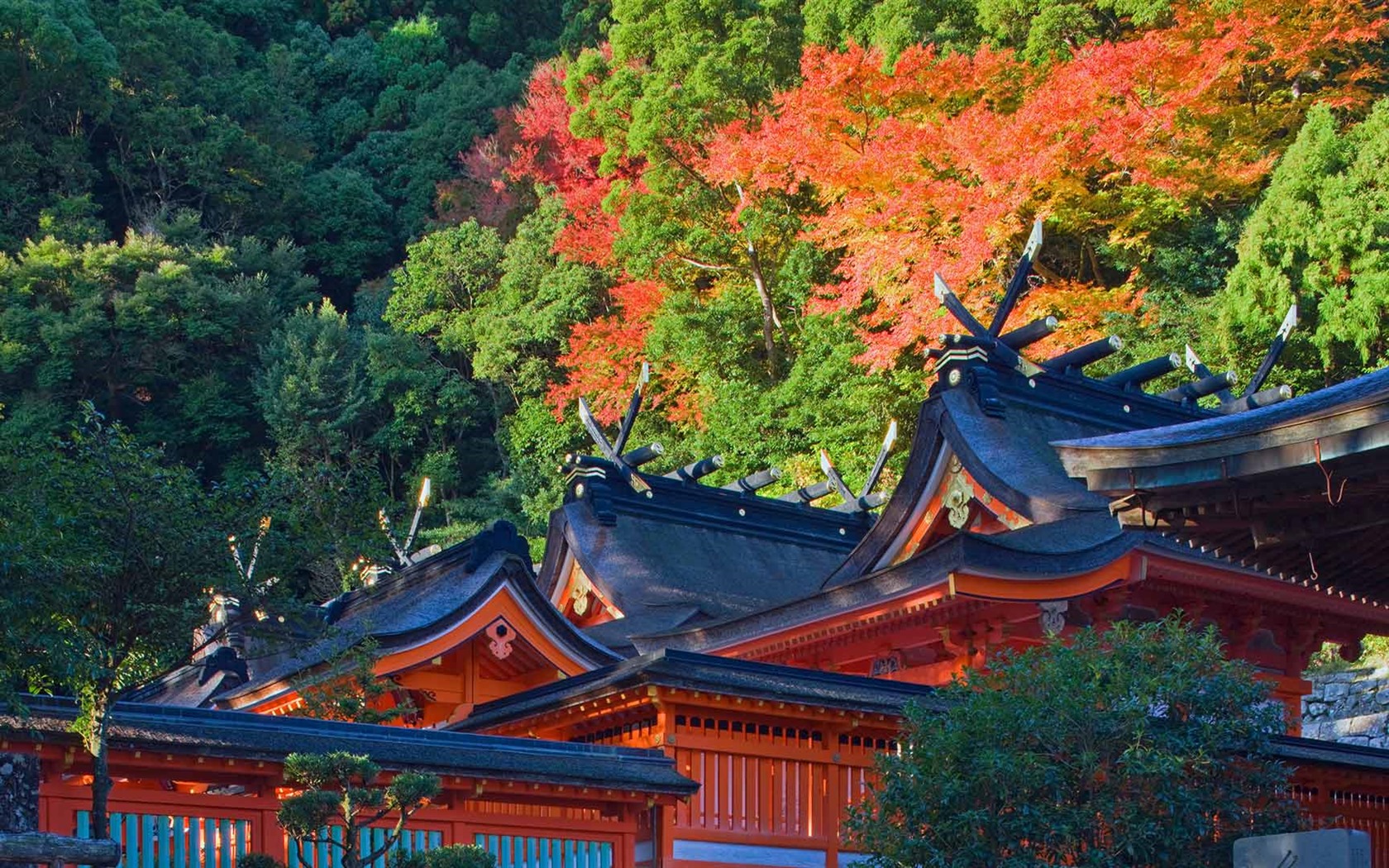 Listopadu 2016 Bing téma HD tapety na plochu (1) #33 - 1680x1050