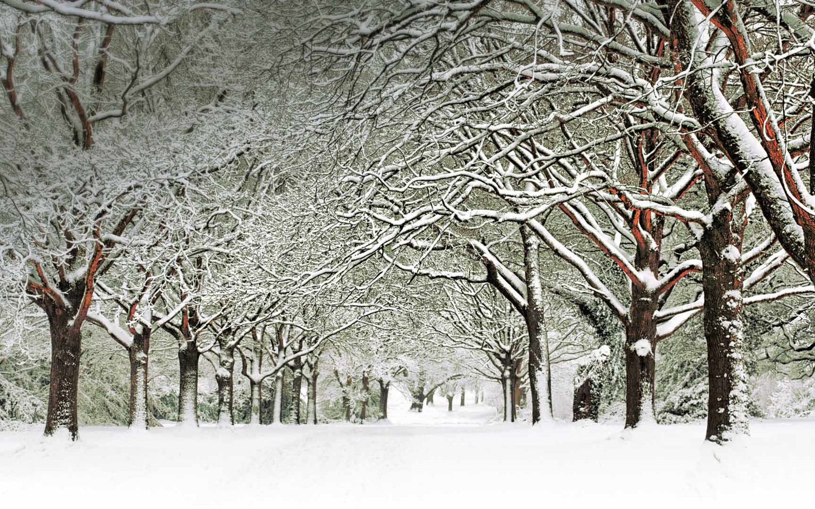 Diciembre 2016 Bing tema HD fondos de pantalla (2) #18 - 1680x1050