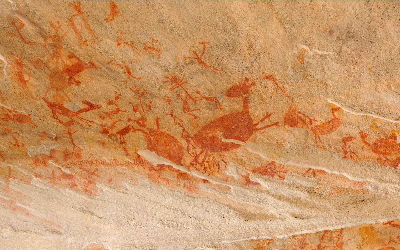Leden 2017 Bing téma tapety s vysokým rozlišením (1) #32 - 1680x1050