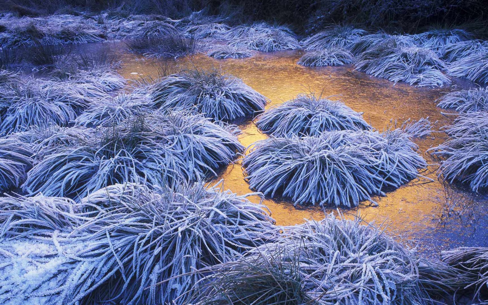 Janvier 2017 thème Bing du fond d'écran haute définition (1) #34 - 1680x1050