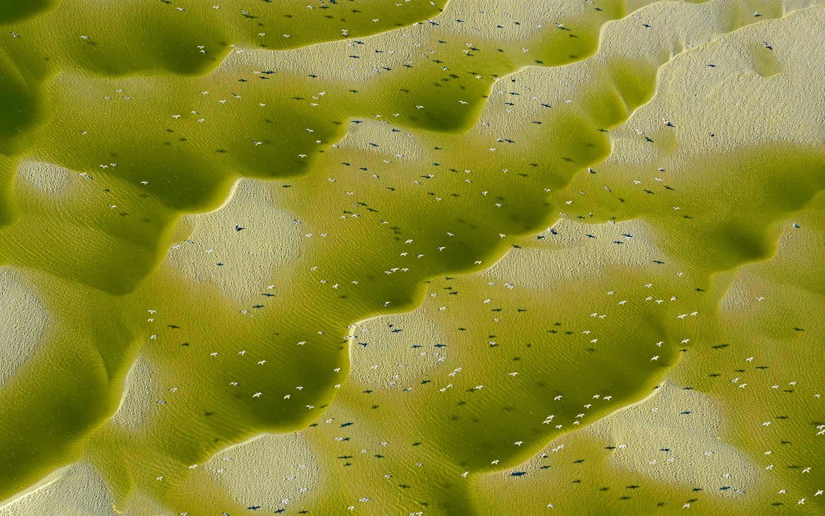 Únor 2017 Bing téma tapety s vysokým rozlišením (2) #33 - 1680x1050