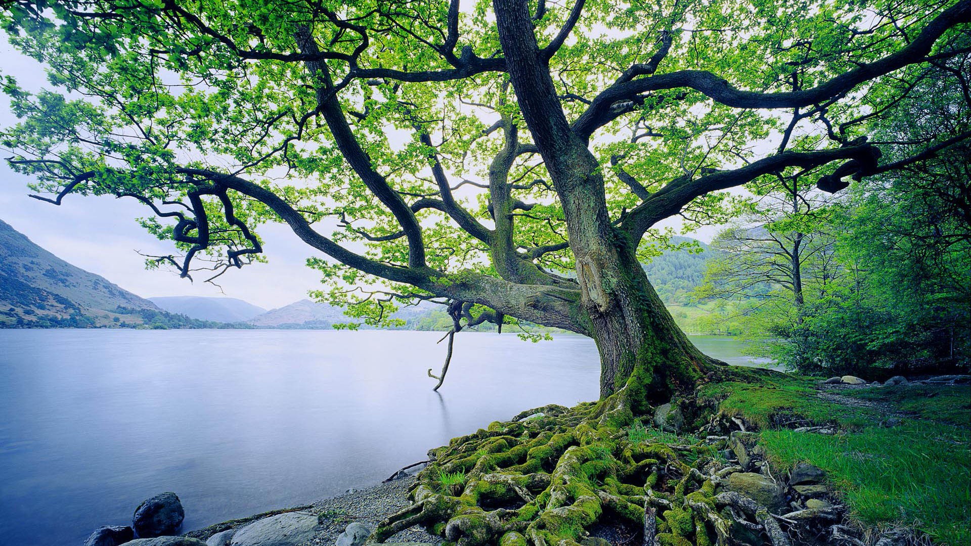 Windows7 官方壁紙 #1 - 1920x1080