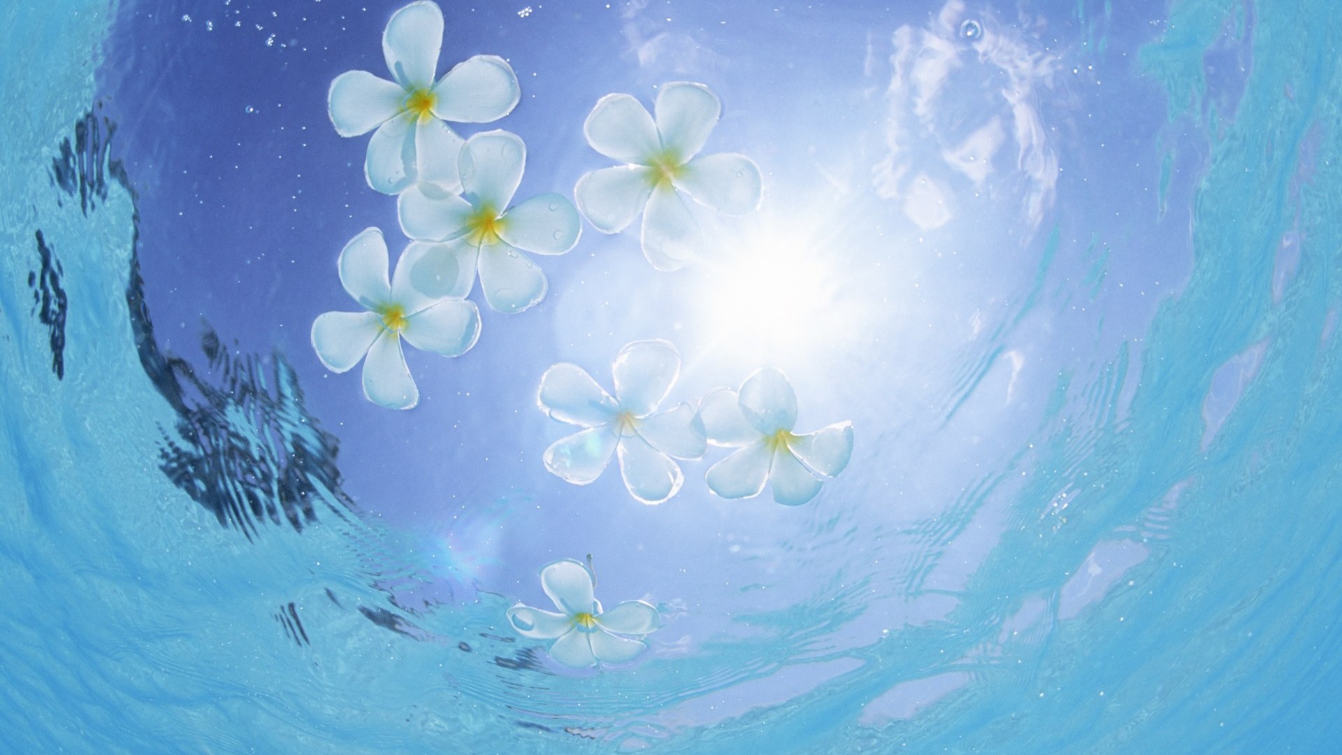 Maldivas agua y el cielo azul #10 - 1920x1080
