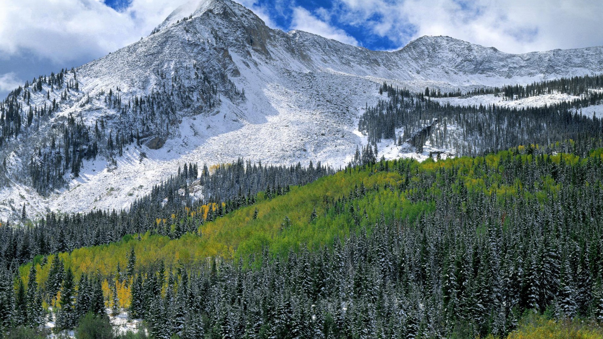 Four Seasons Landscape wallpaper (2) #14 - 1920x1080