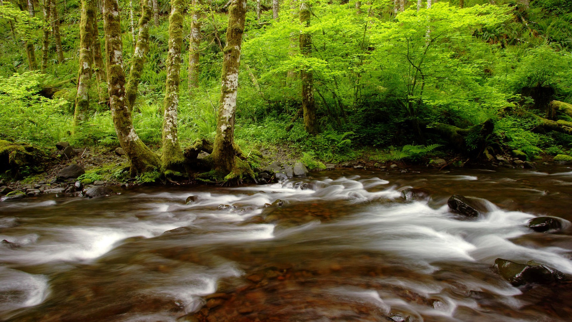Water streams HD Wallpapers #8 - 1920x1080
