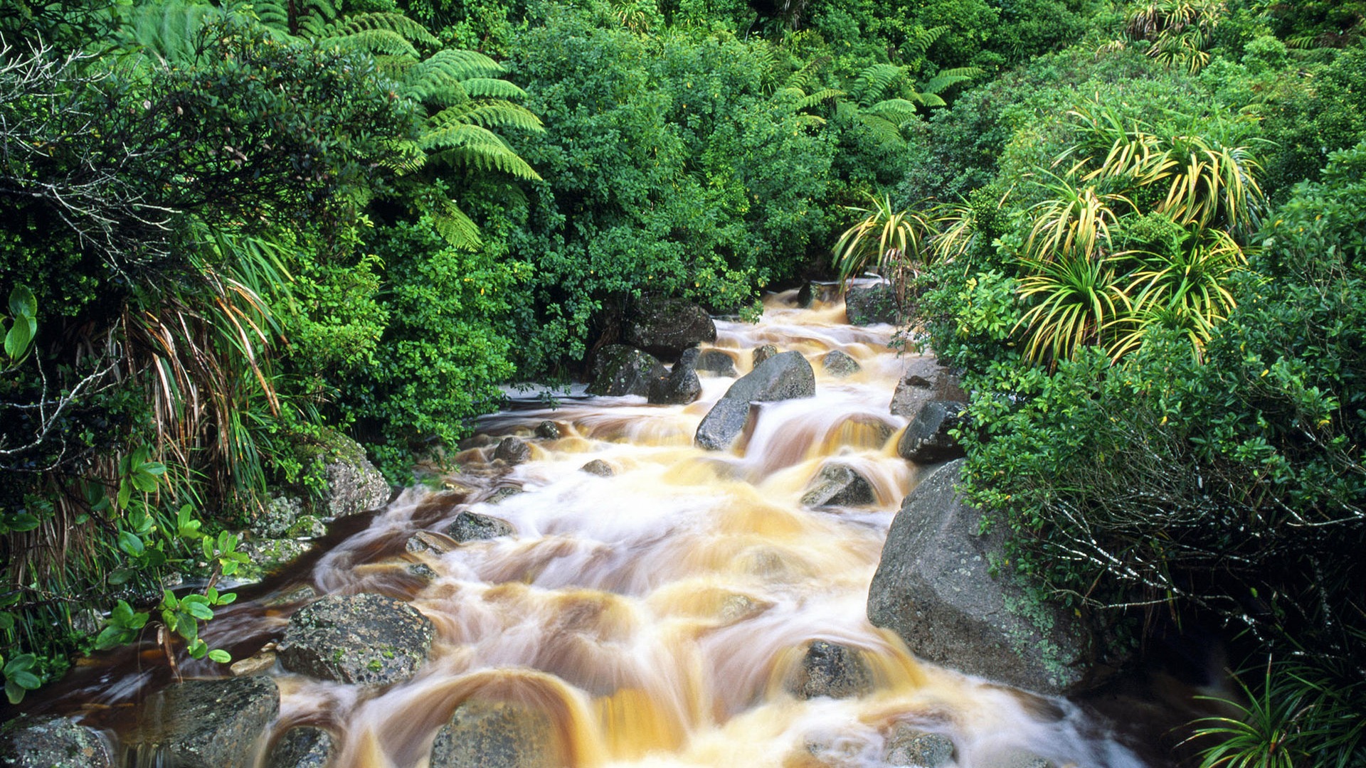 Water streams HD Wallpapers #9 - 1920x1080