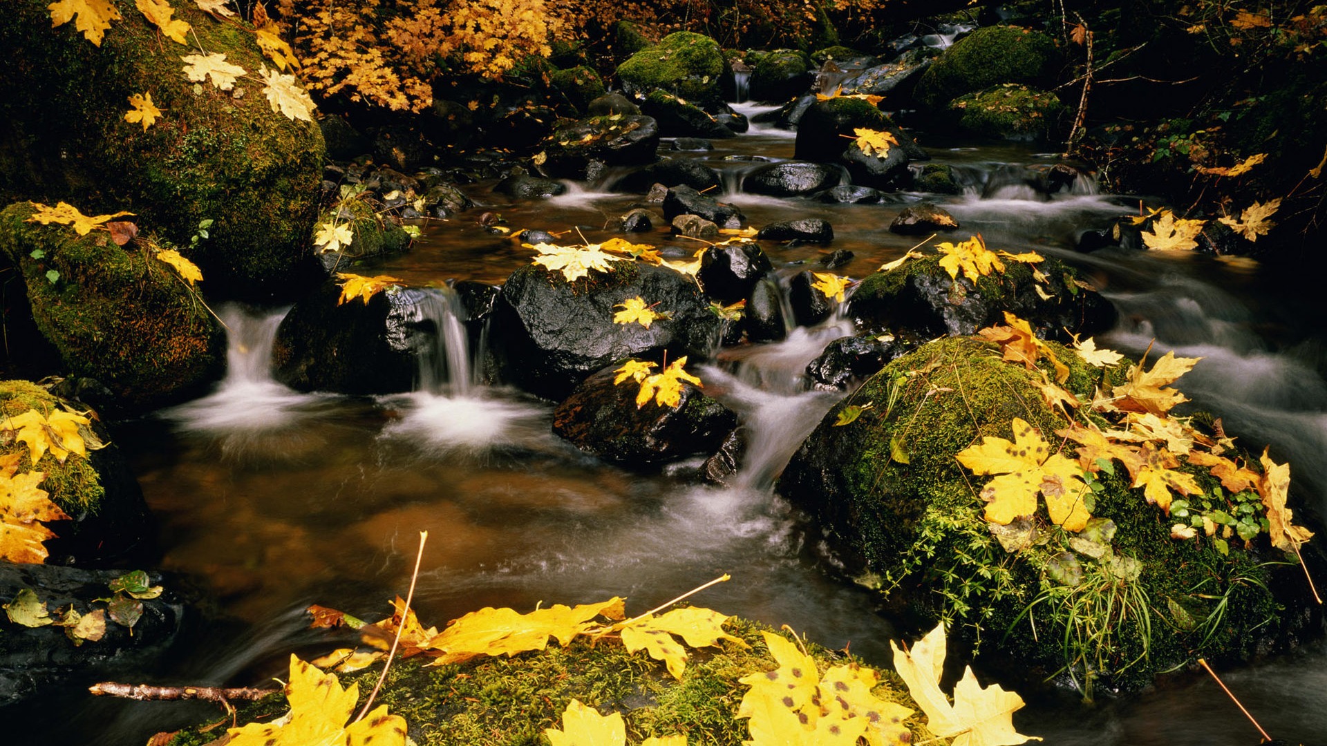 Water streams HD Wallpapers #17 - 1920x1080