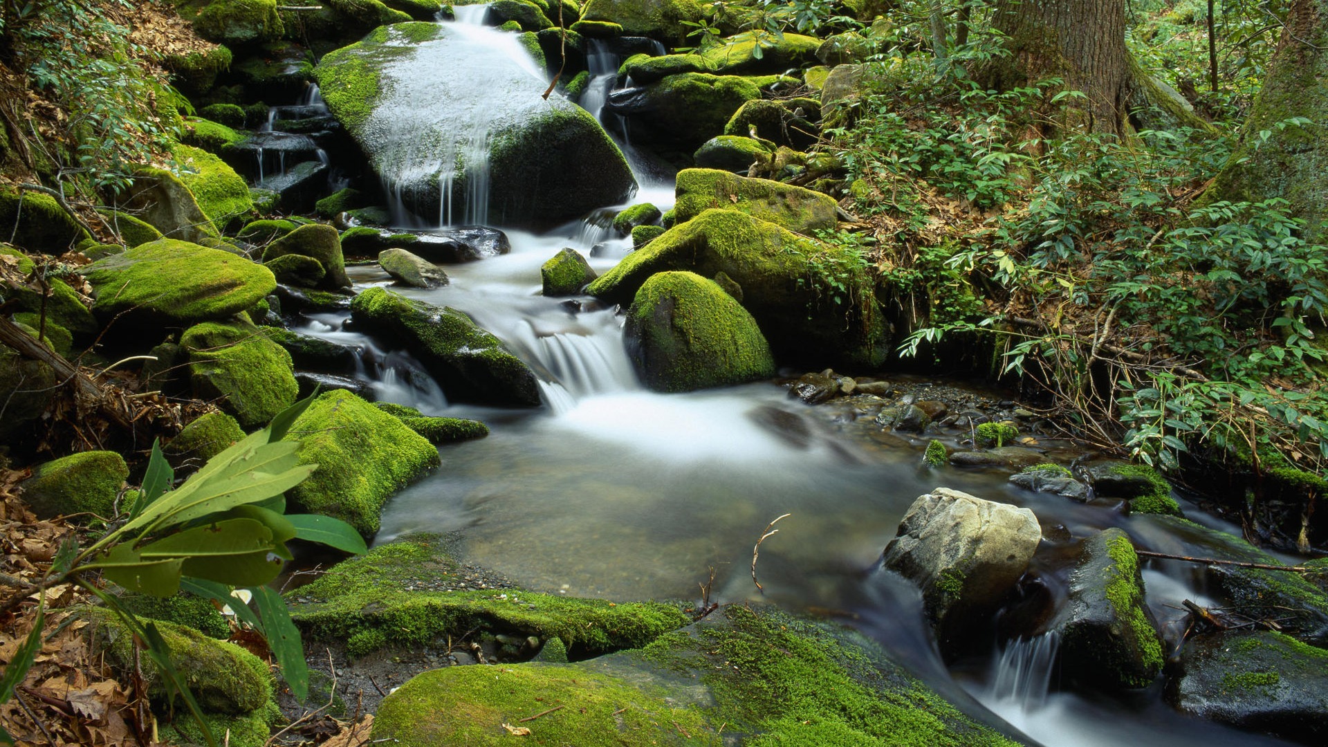 Water streams HD Wallpapers #20 - 1920x1080