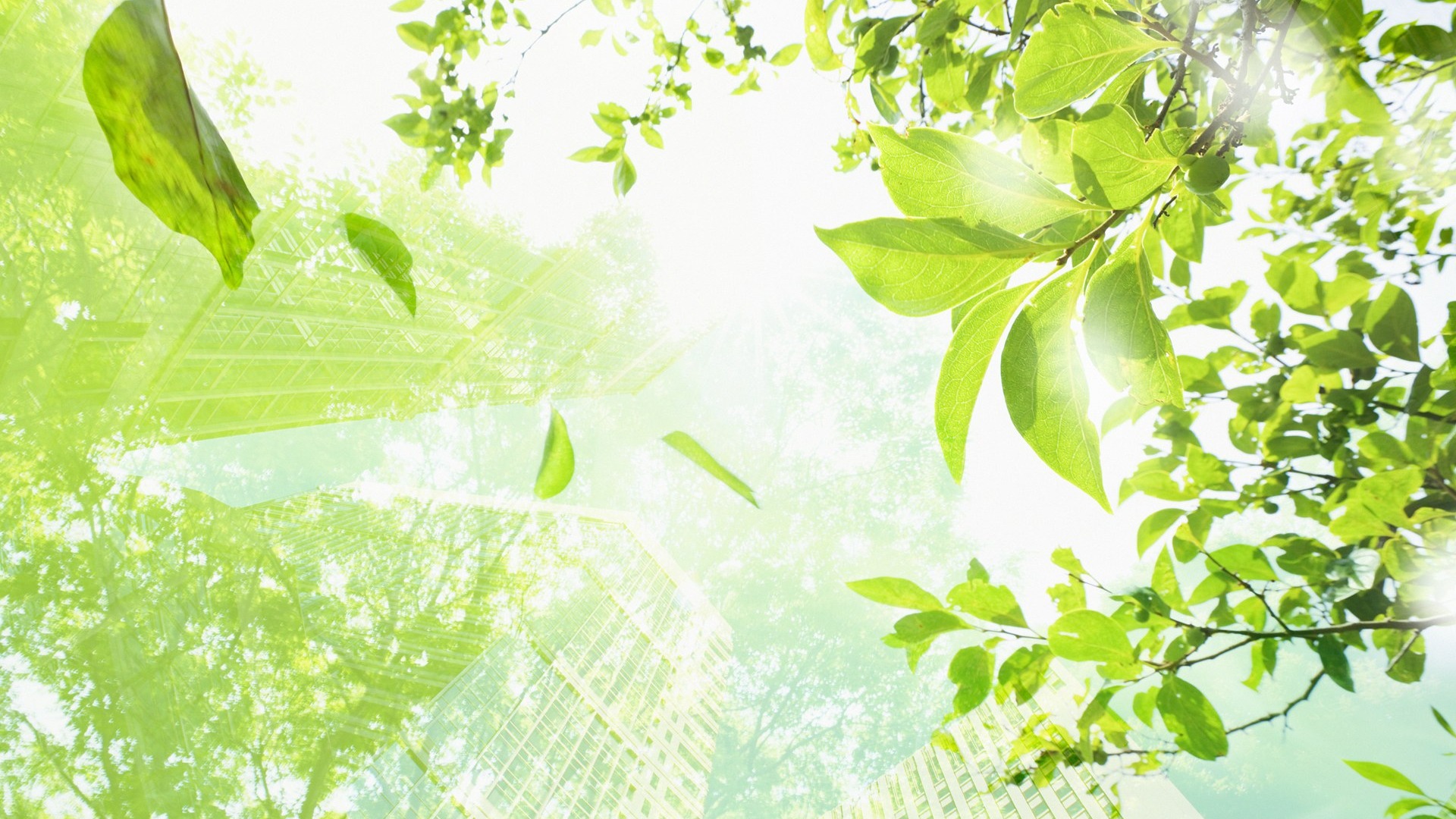 Green environmental topics PS Wallpaper #7 - 1920x1080