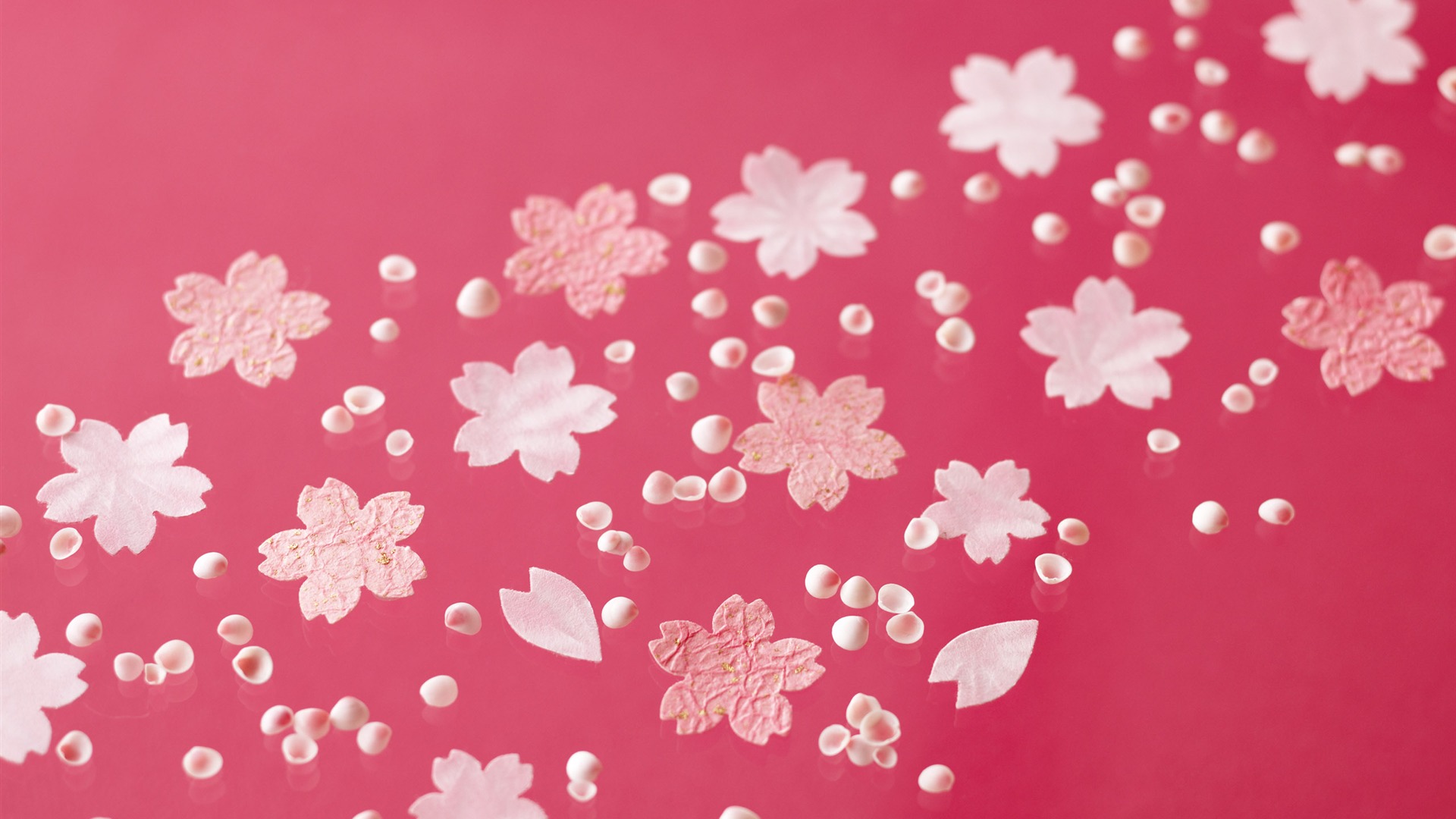 花卉禮品高清壁紙(四) #4 - 1920x1080