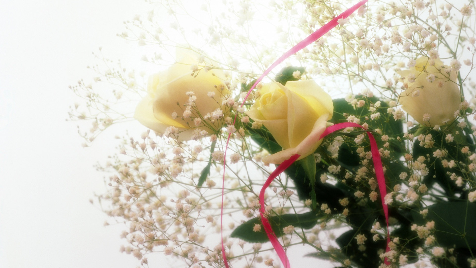 웨딩 꽃 항목 월페이퍼 (1) #7 - 1920x1080