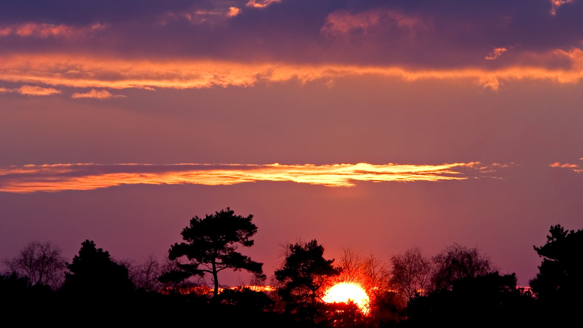 záře slunce HD skvělé tapety (1) #26 - 1920x1080