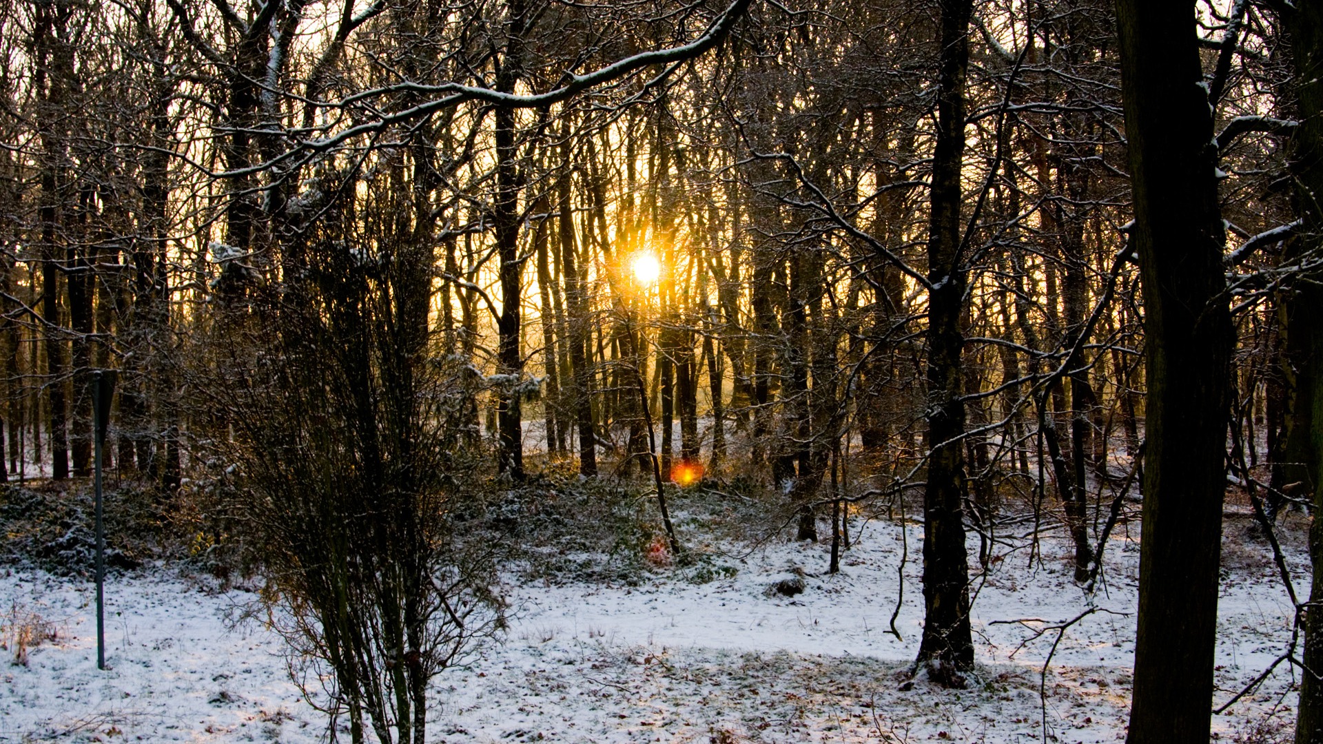 záře slunce HD skvělé tapety (1) #37 - 1920x1080