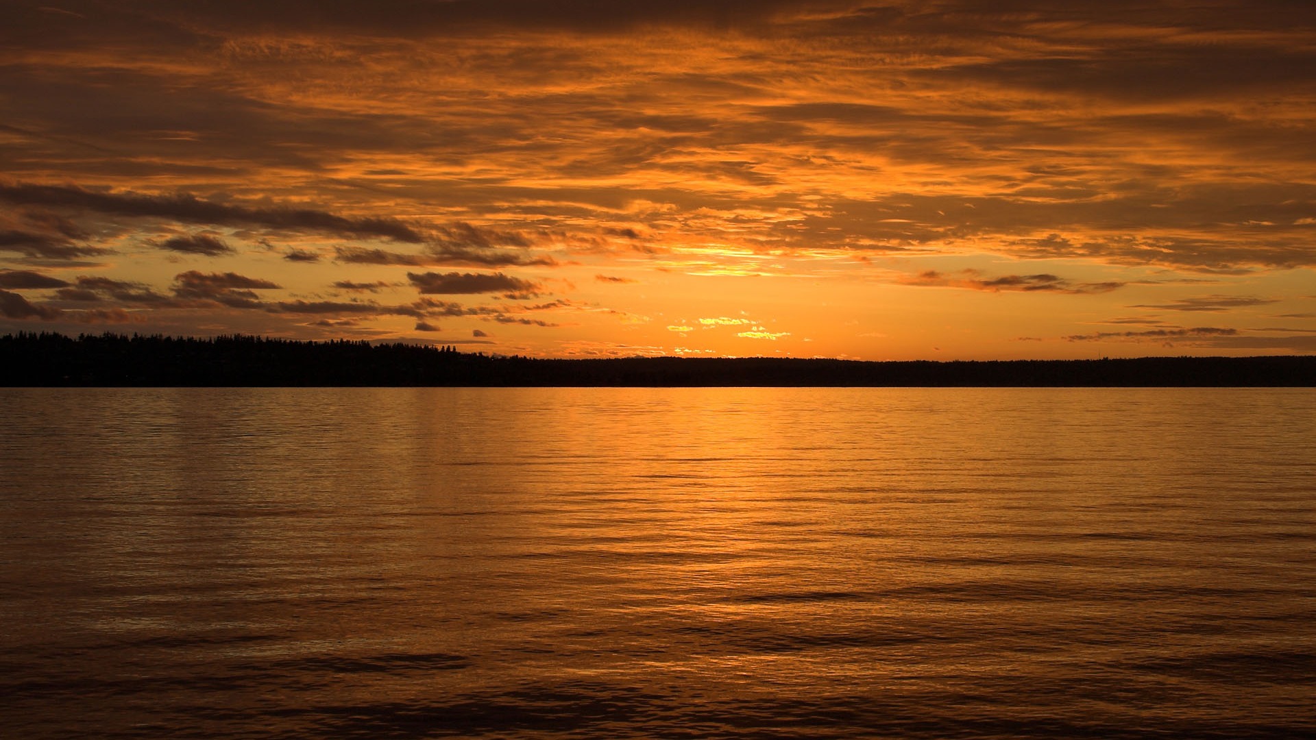 záře slunce HD skvělé tapety (2) #28 - 1920x1080