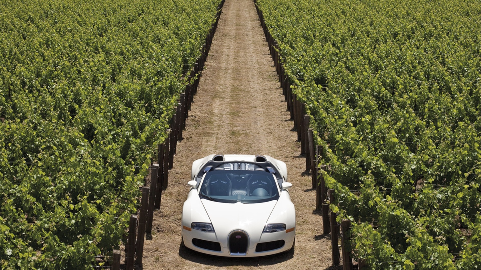 Bugatti Veyron Wallpaper Album (3) #3 - 1920x1080