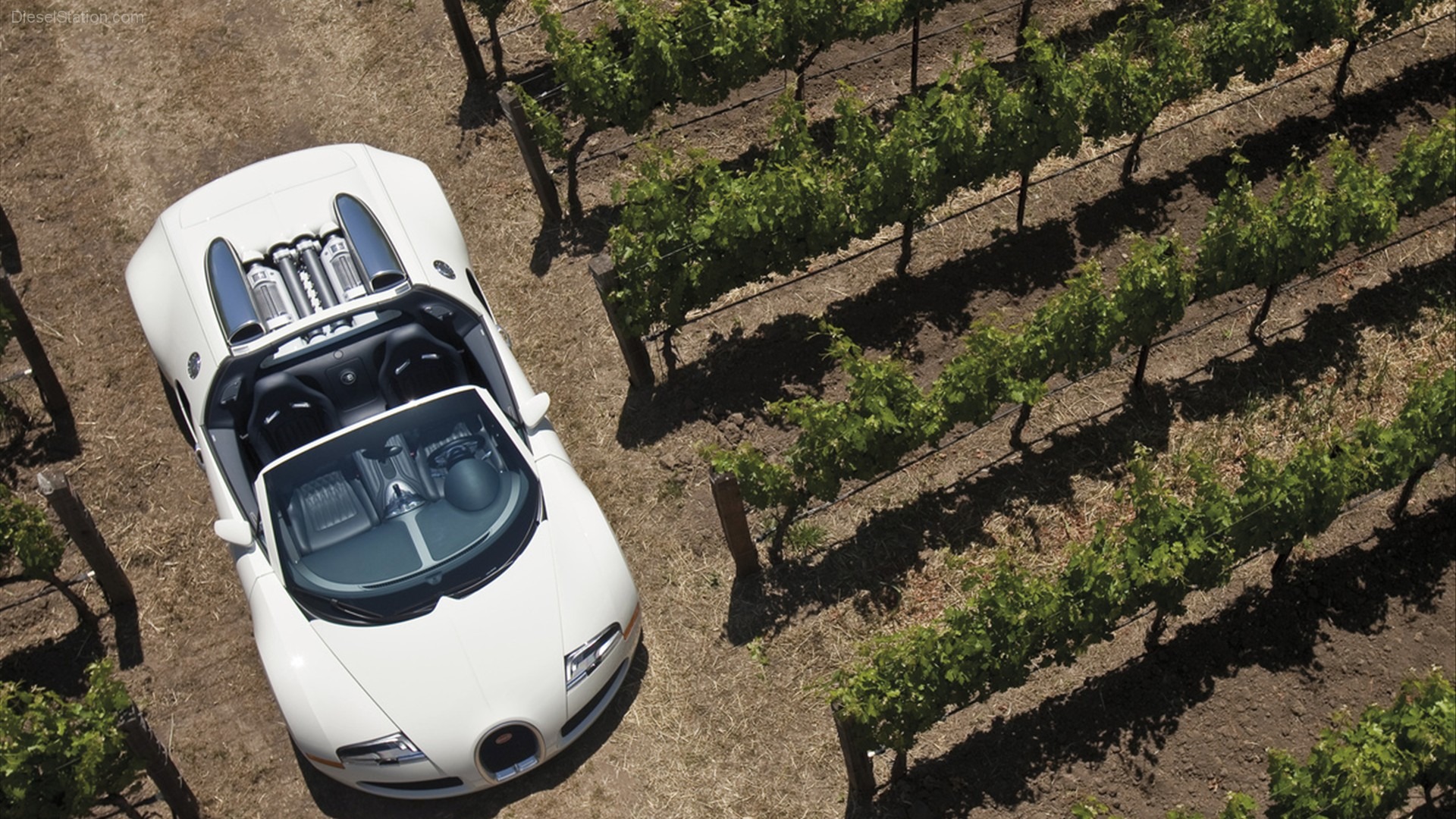 Bugatti Veyron Wallpaper Album (3) #4 - 1920x1080