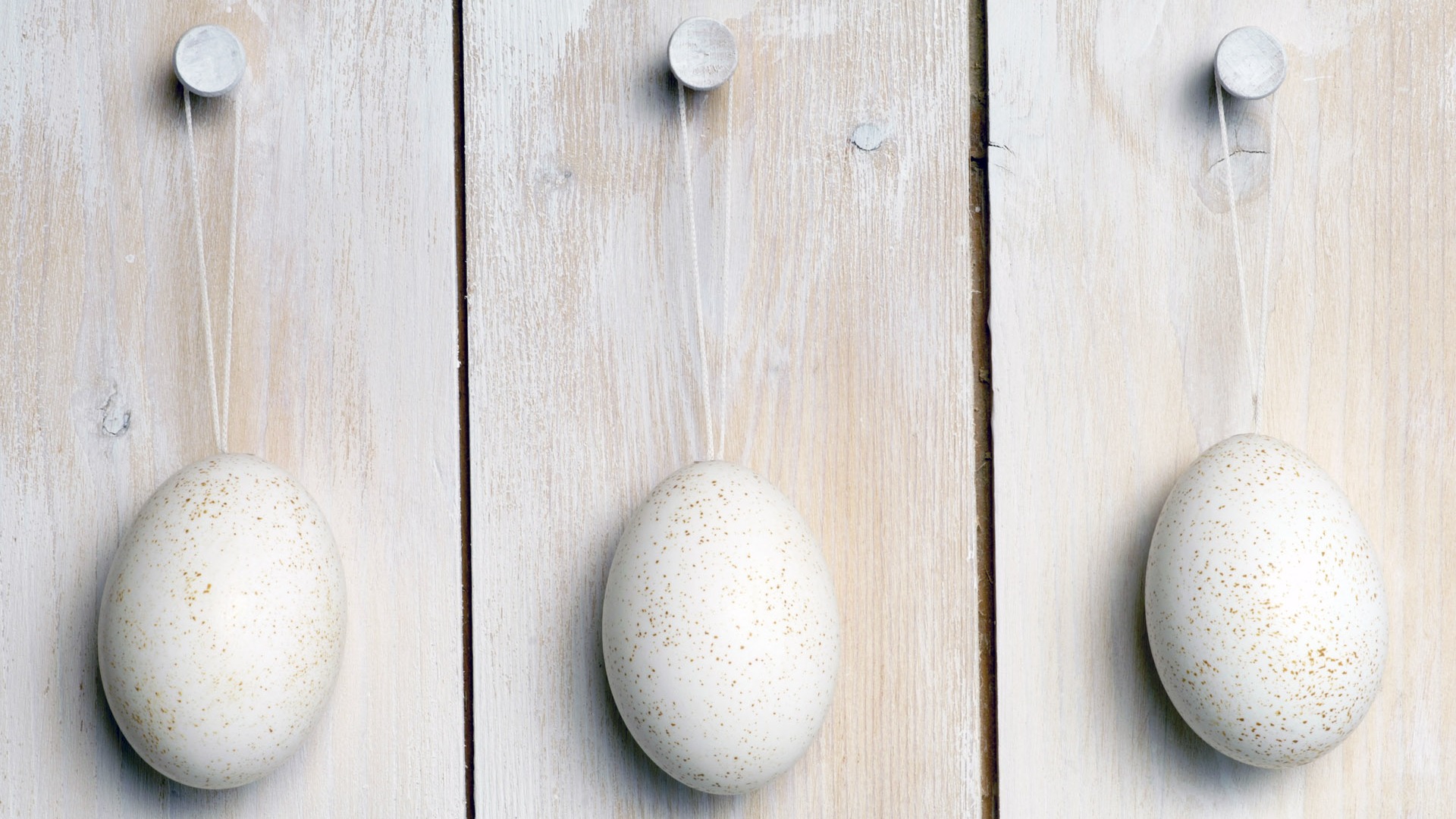 Easter Egg wallpaper (1) #3 - 1920x1080