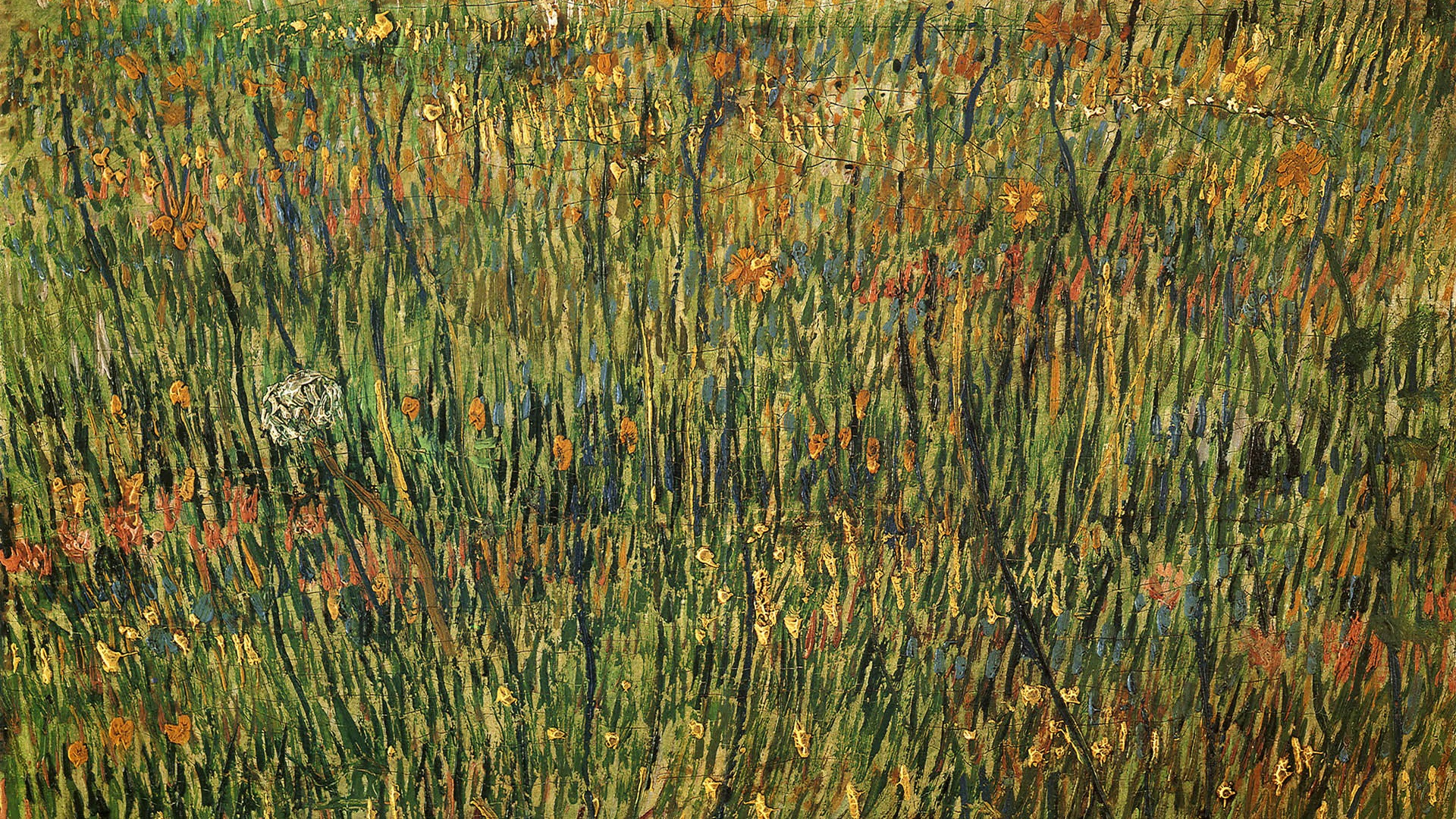 Vincent Van Gogh fondos de escritorio de pintura (1) #19 - 1920x1080