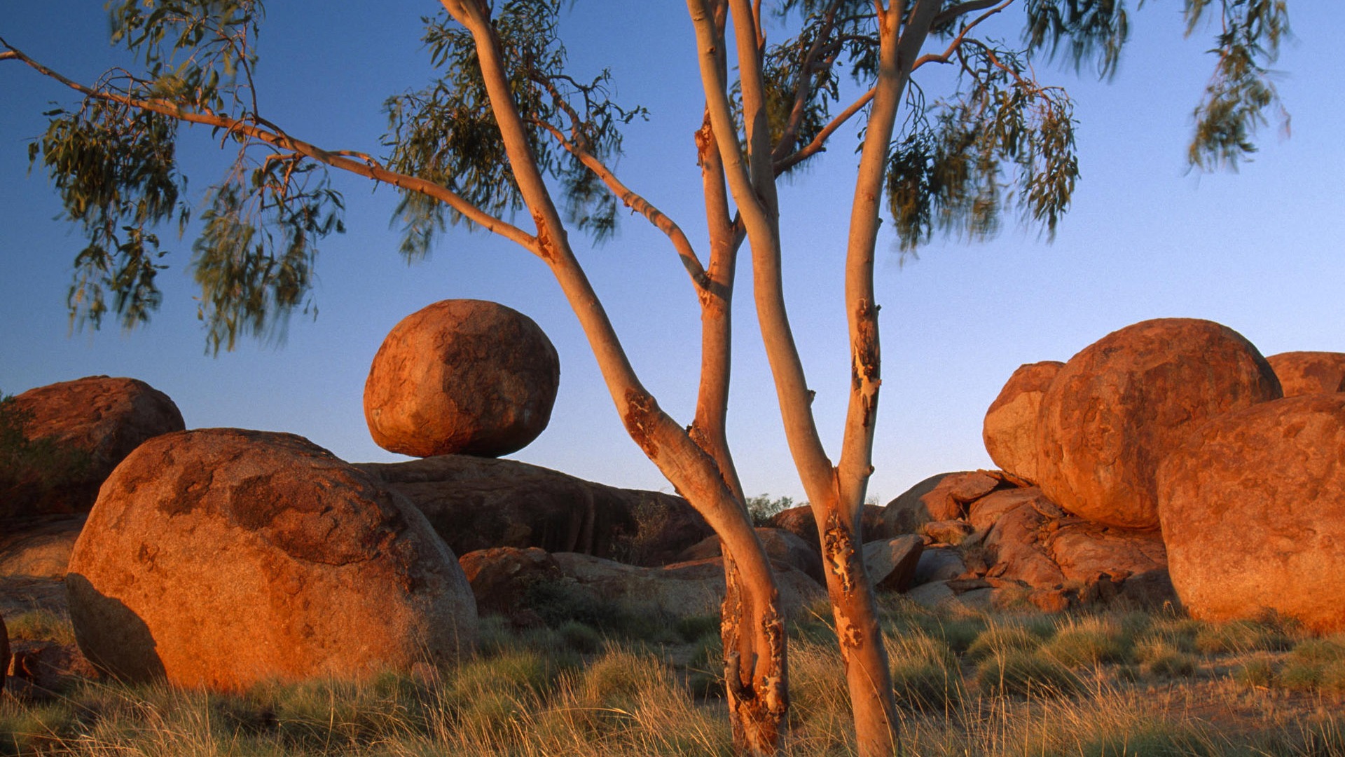 Charming natural scenery HD Wallpaper (1) #6 - 1920x1080